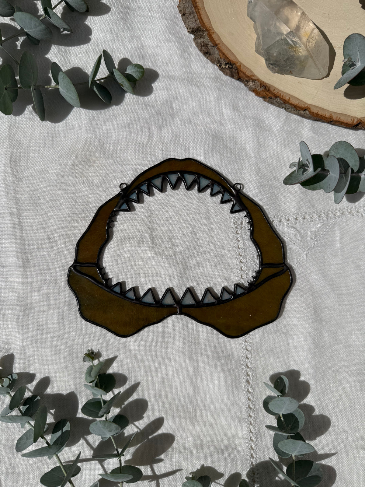 Shark Jaw