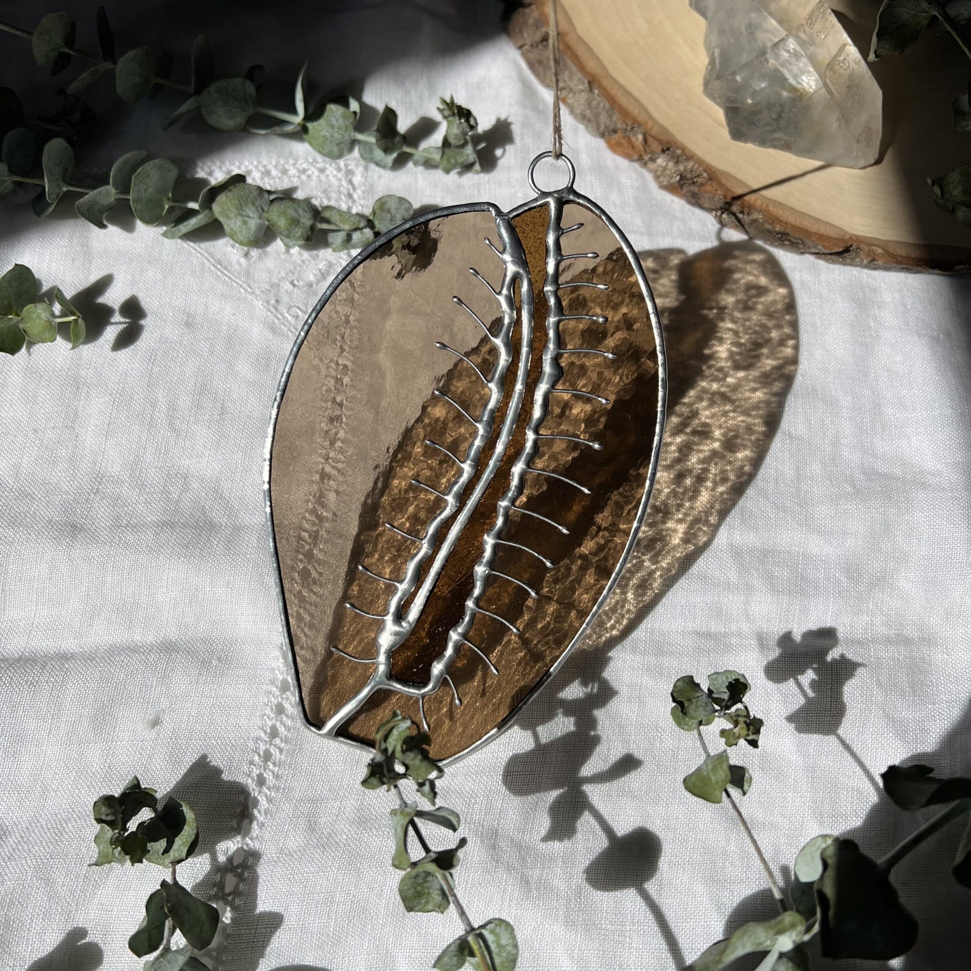 Cowrie Shell image 1