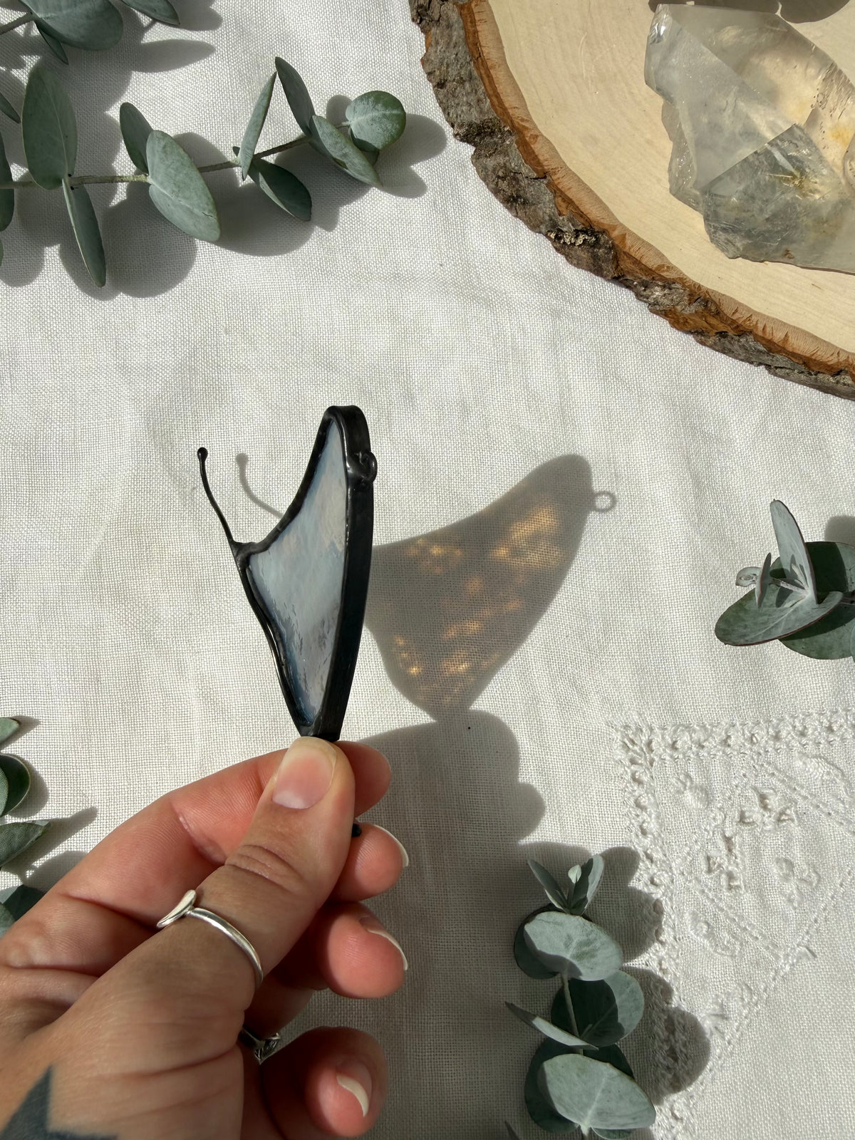Gray Shark Fin