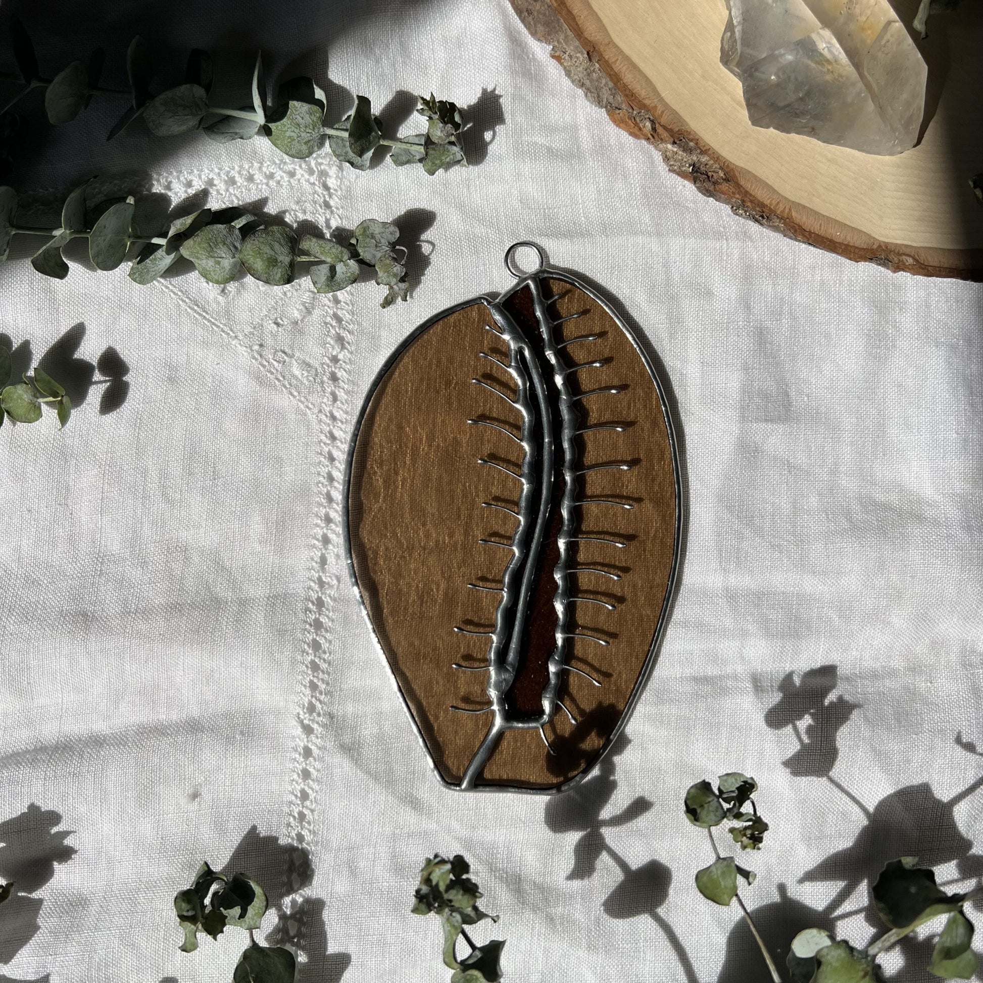 Cowrie Shell image 2