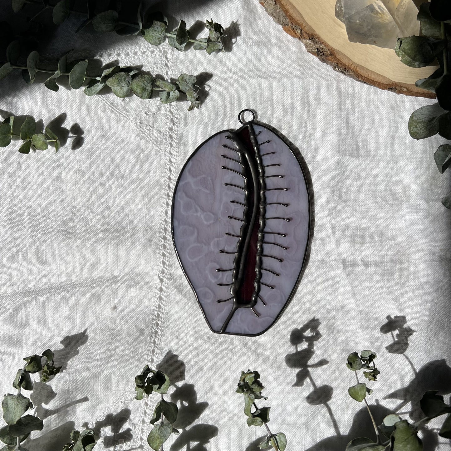 Cowrie Shell image 2