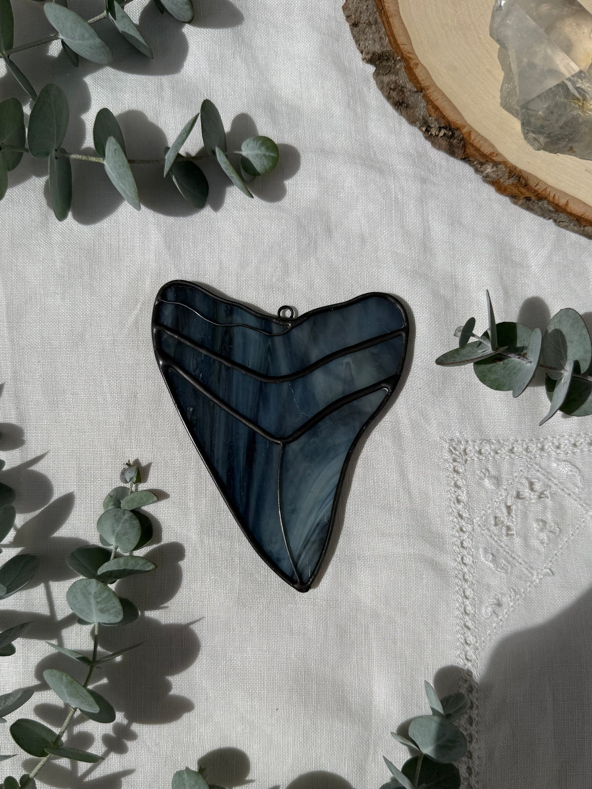 Megalodon Shark Tooth