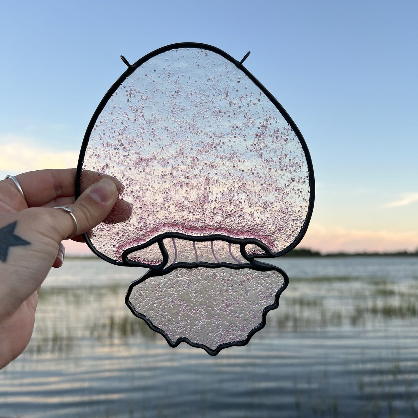 Cannonball Jellyfish image 0