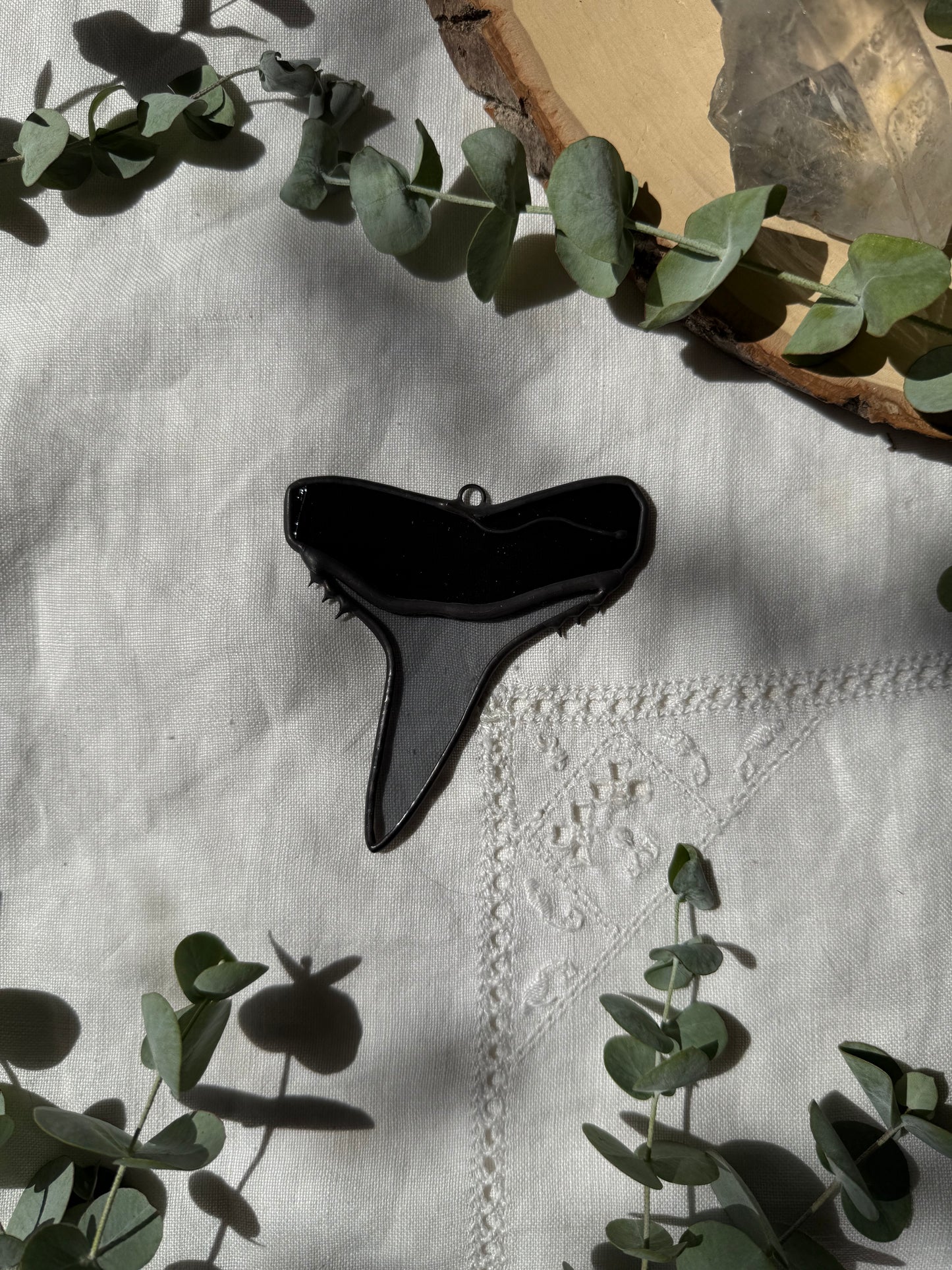 Black Tip Shark Tooth