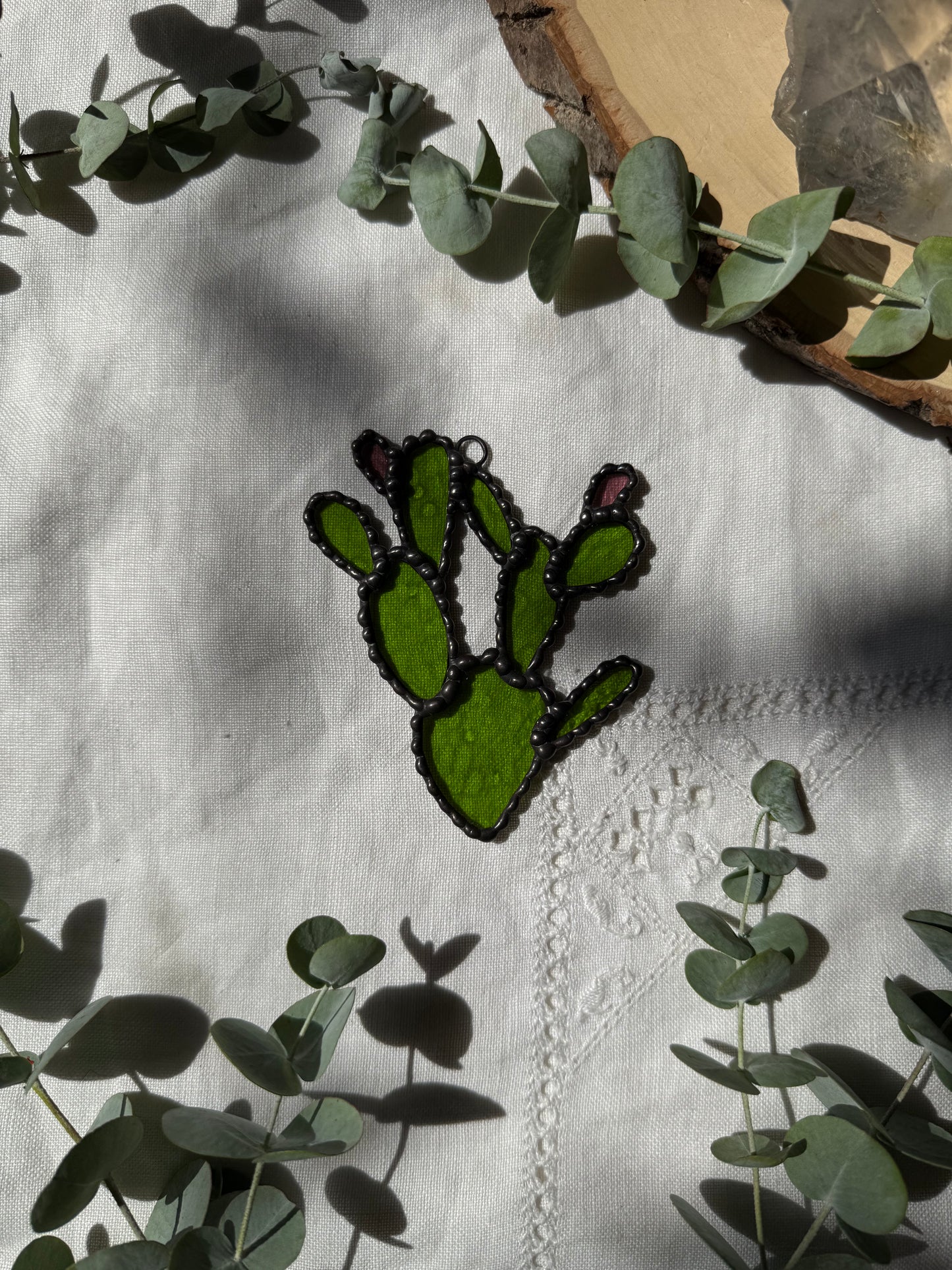 Prickly Pear Cactus