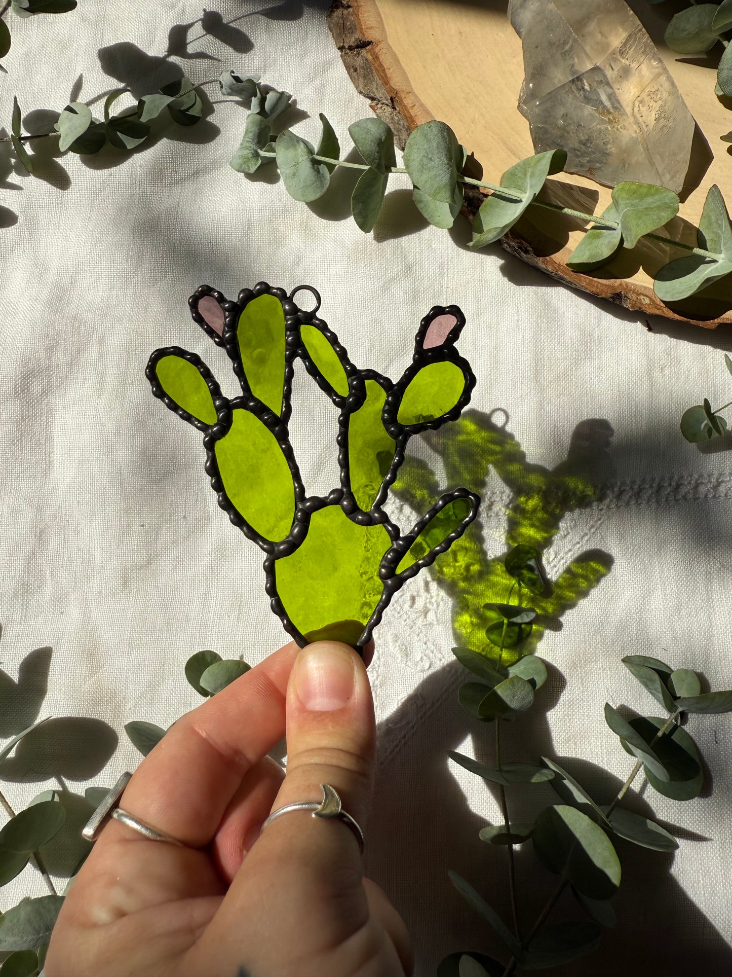 Prickly Pear Cactus