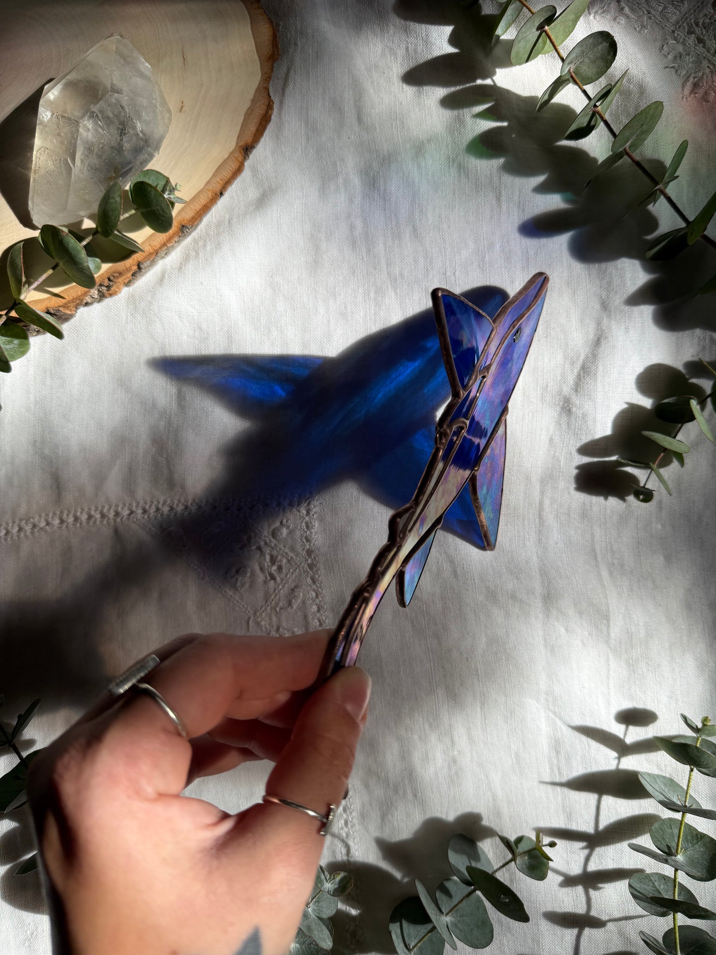 Iridescent Blue Ghost Shark