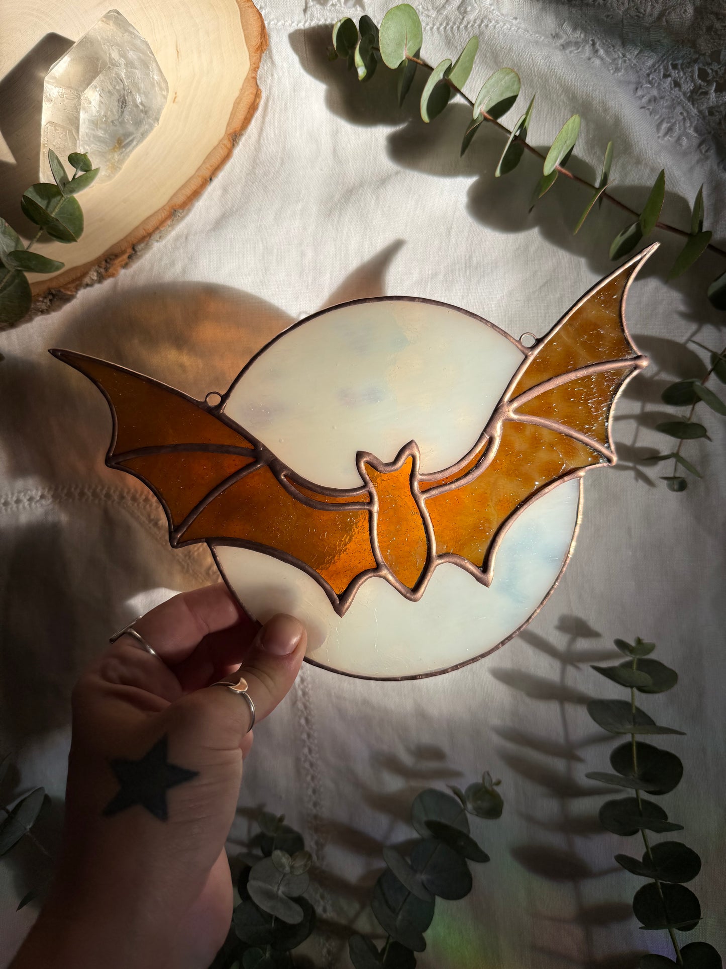 Brown Bat