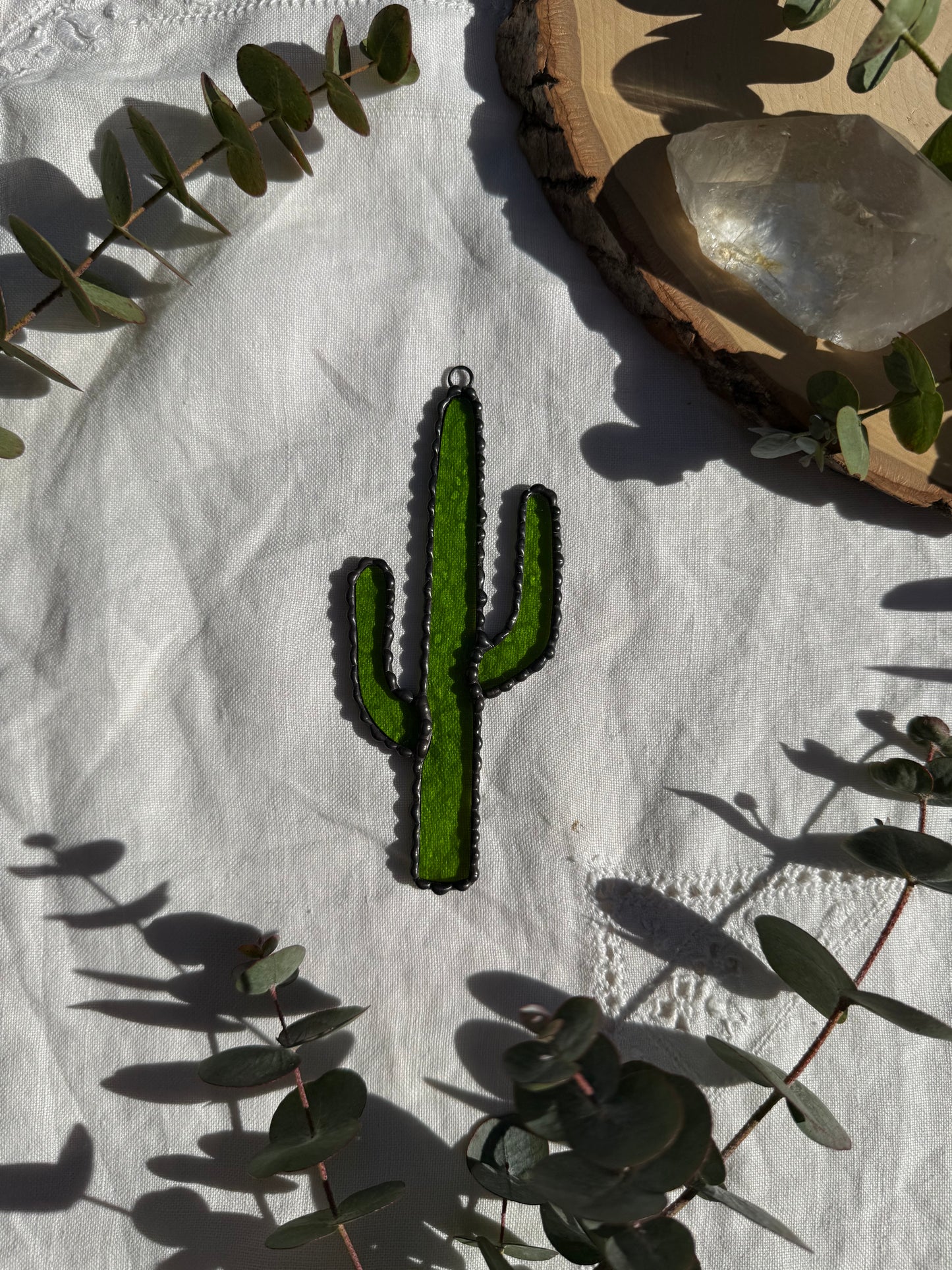 Saguaro Cactus