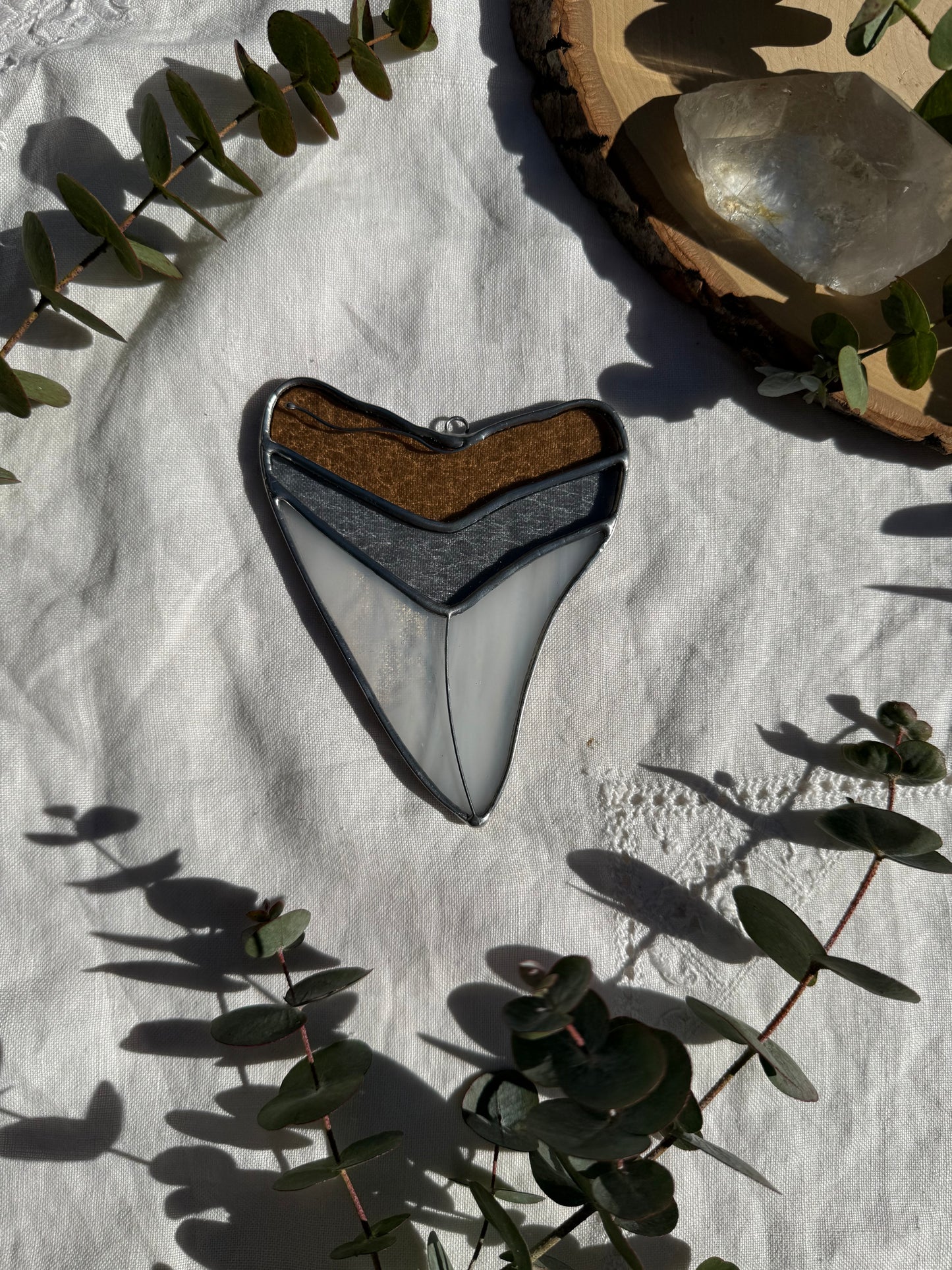 Megalodon Shark Tooth