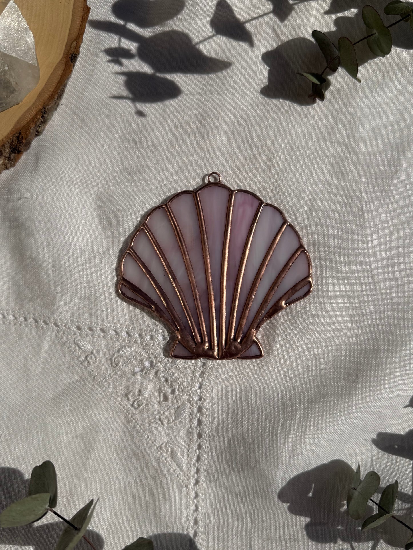 Pale Pink Scallop Shell