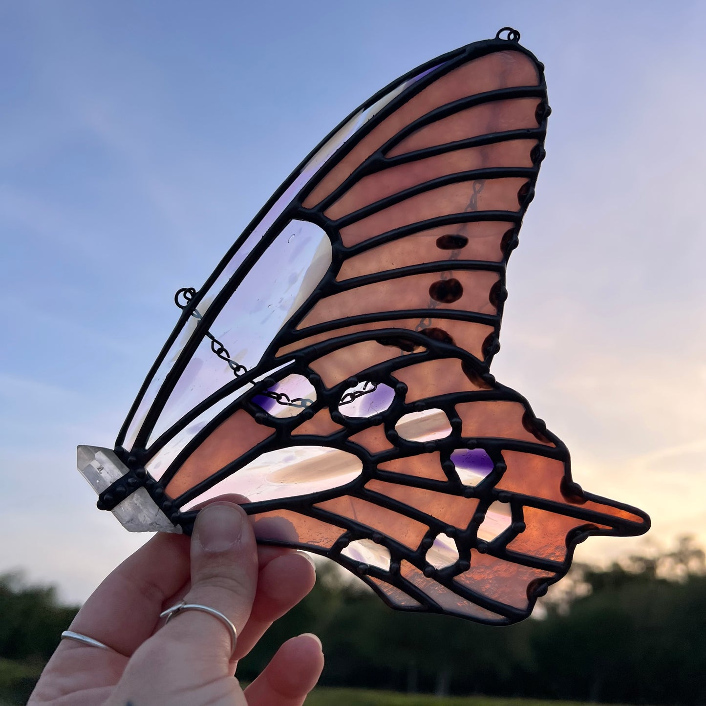Pink Butterfly Wing