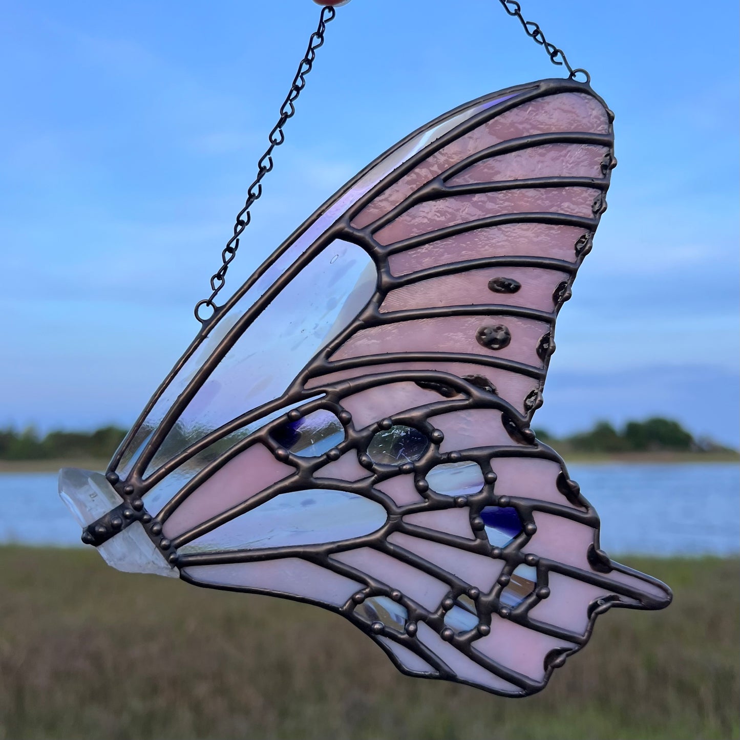 Pink Butterfly Wing