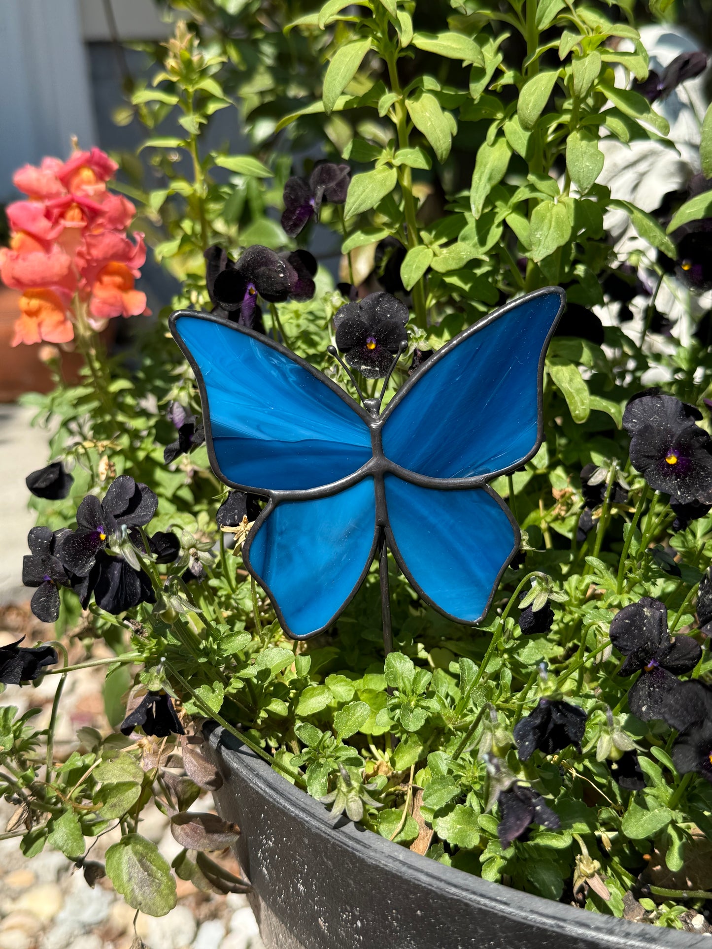 Blue Butterfly Plant Stake
