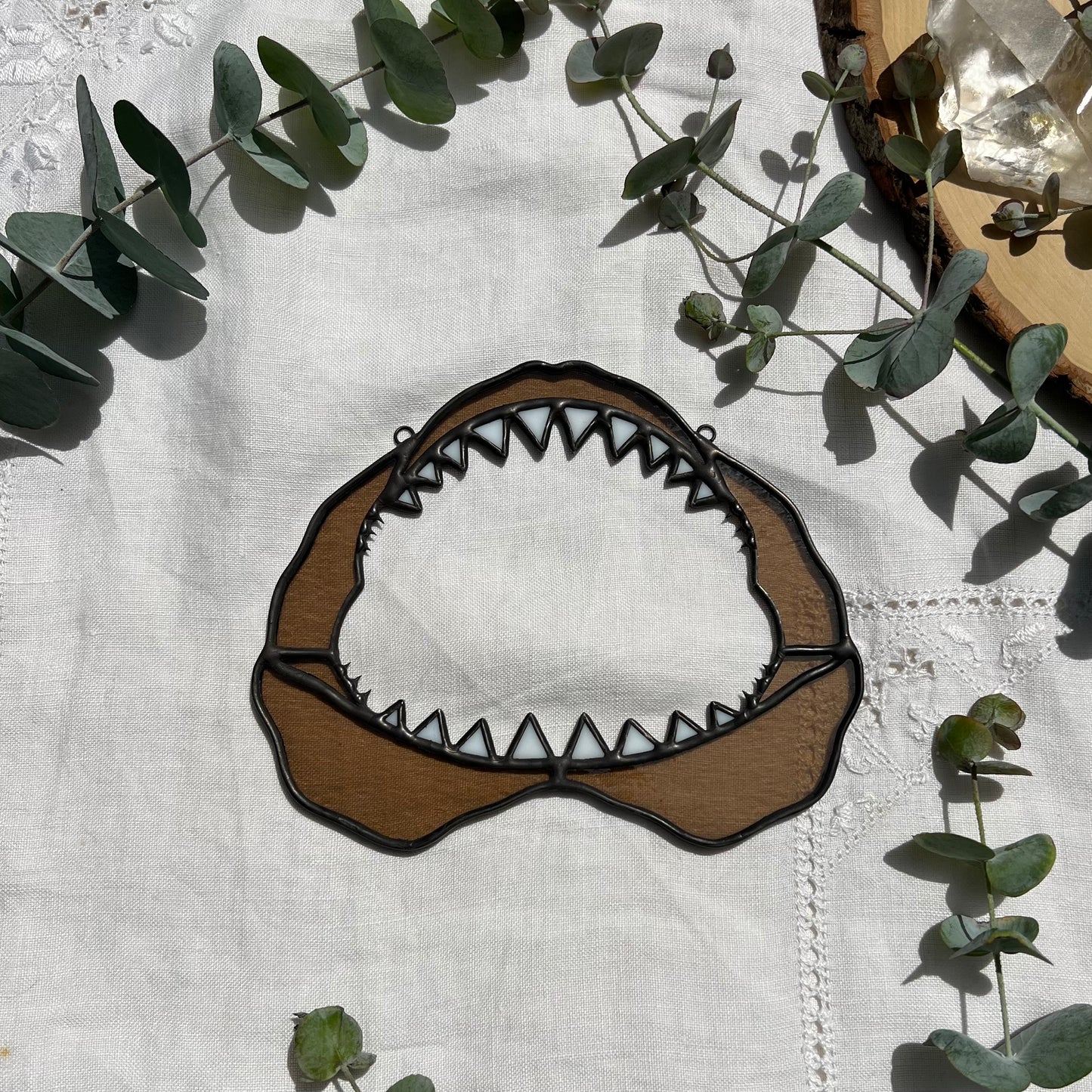 Shark Jaw
