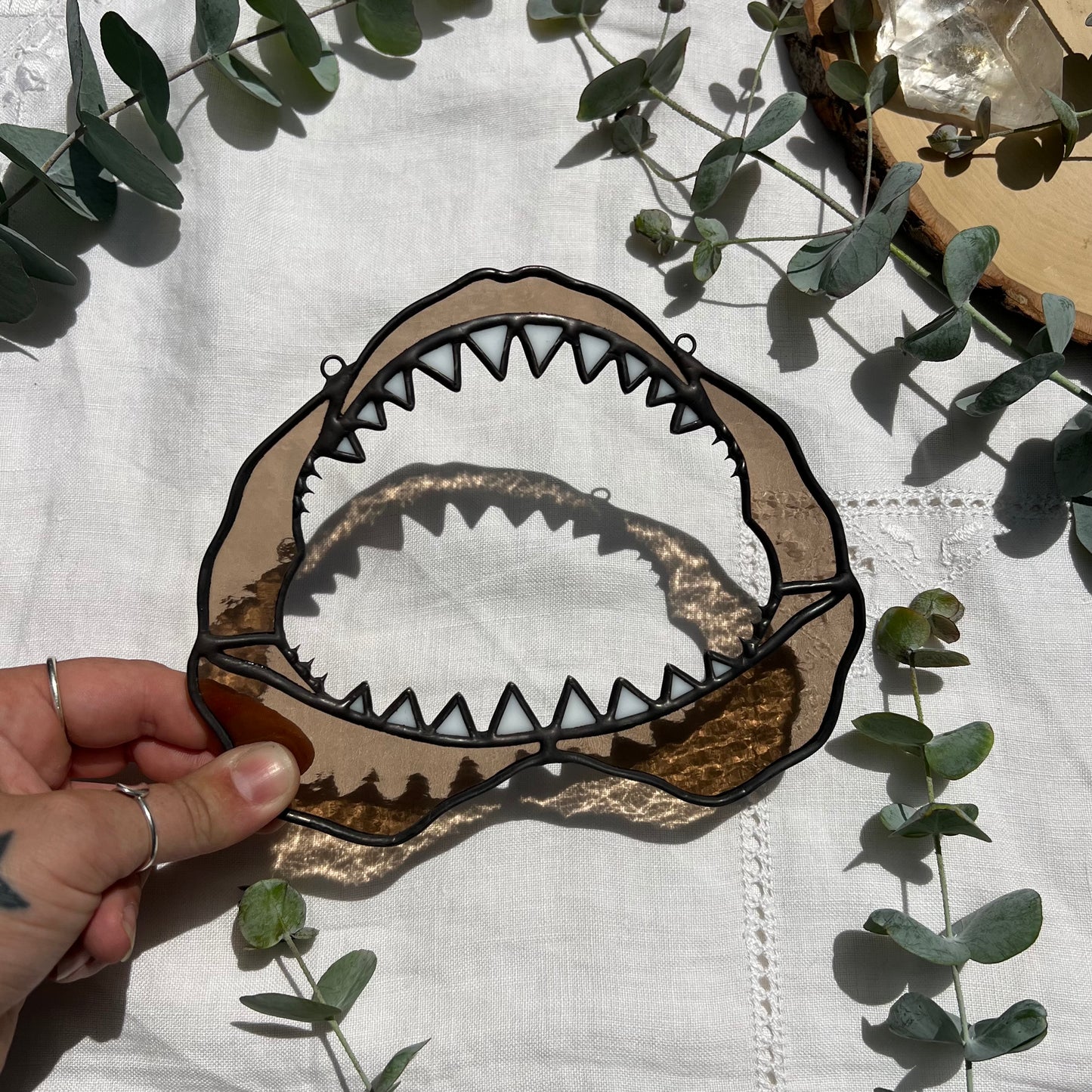 Shark Jaw