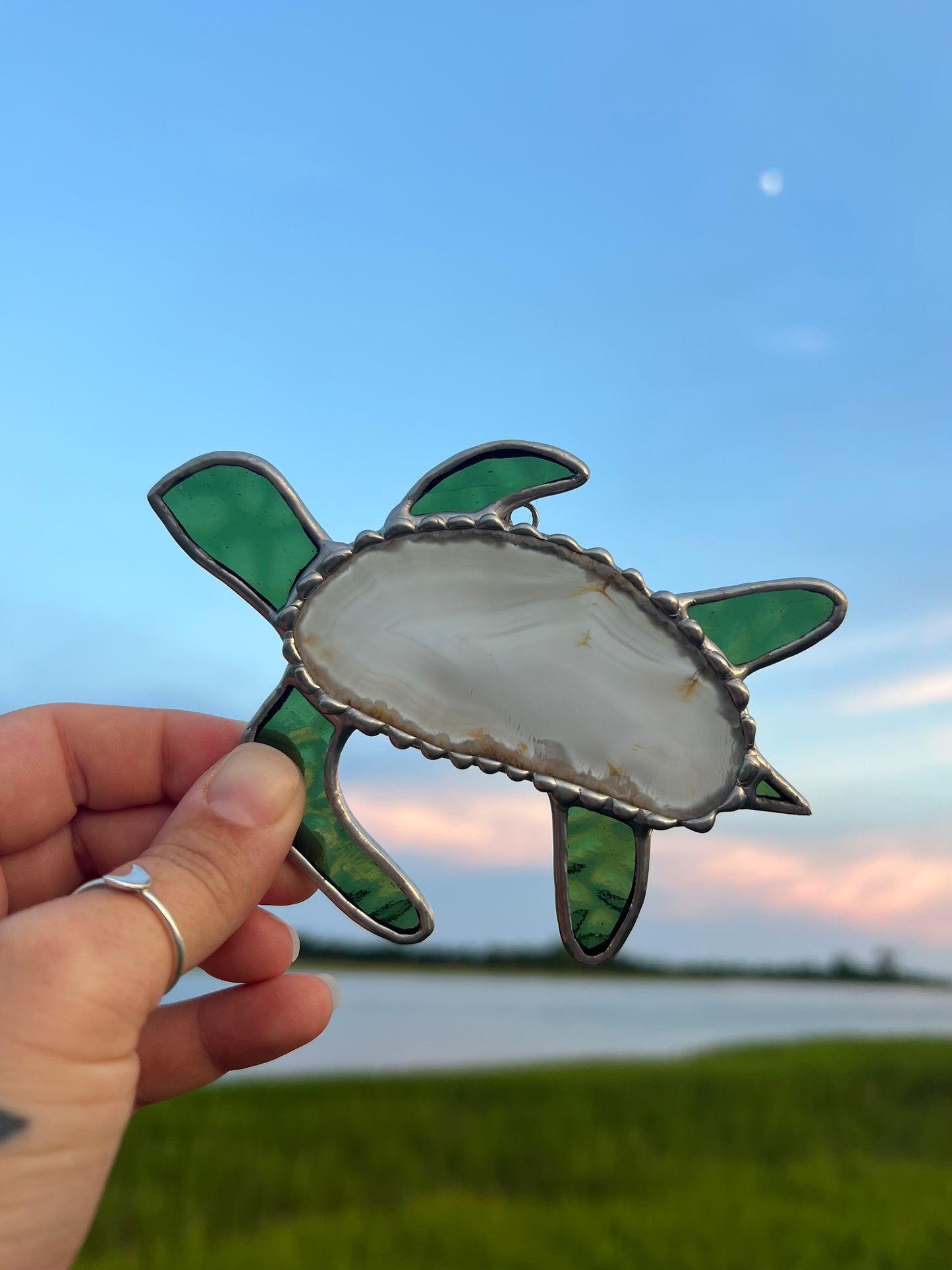 Agate Turtle