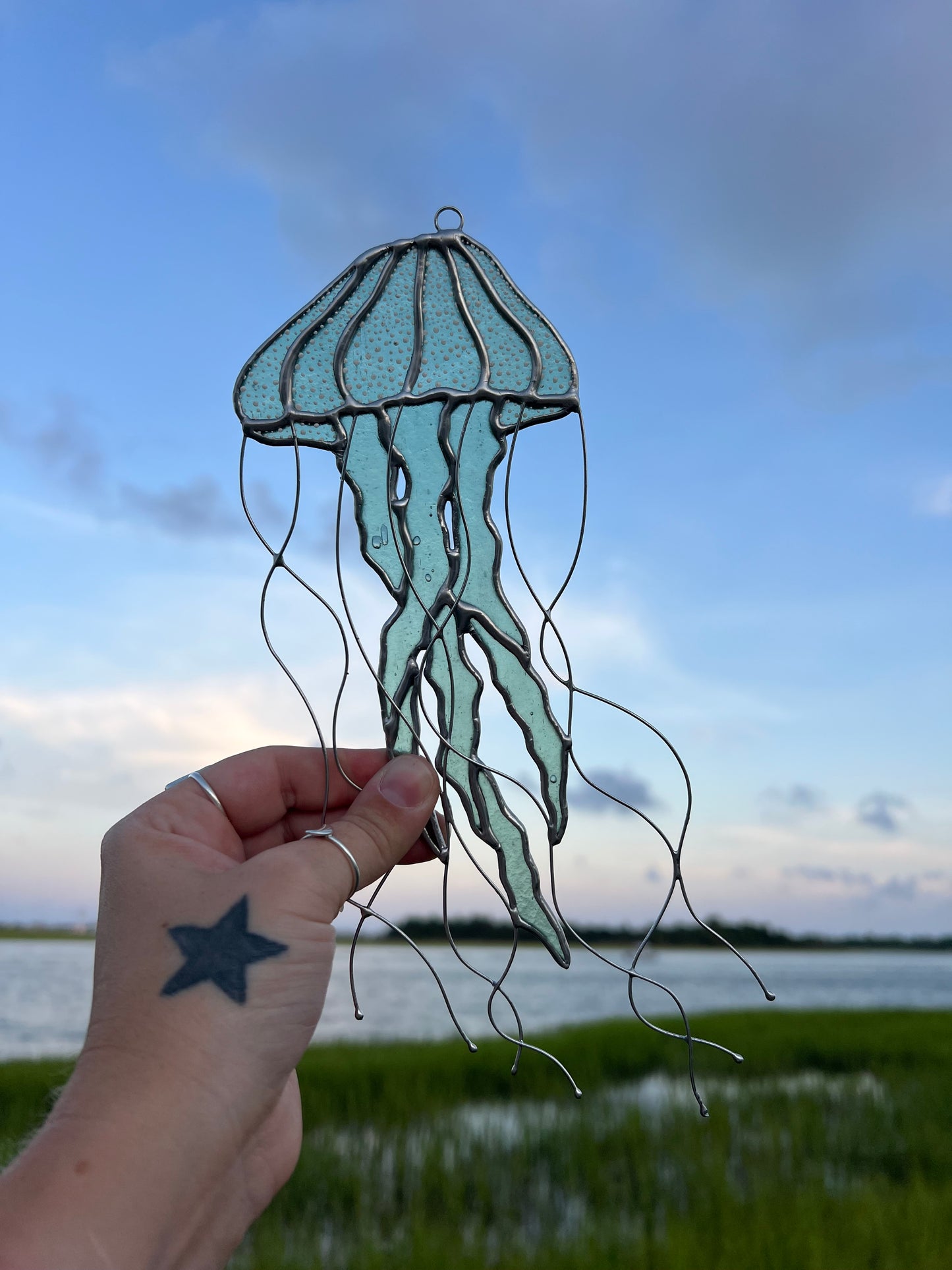 Sea Nettle Jellyfish