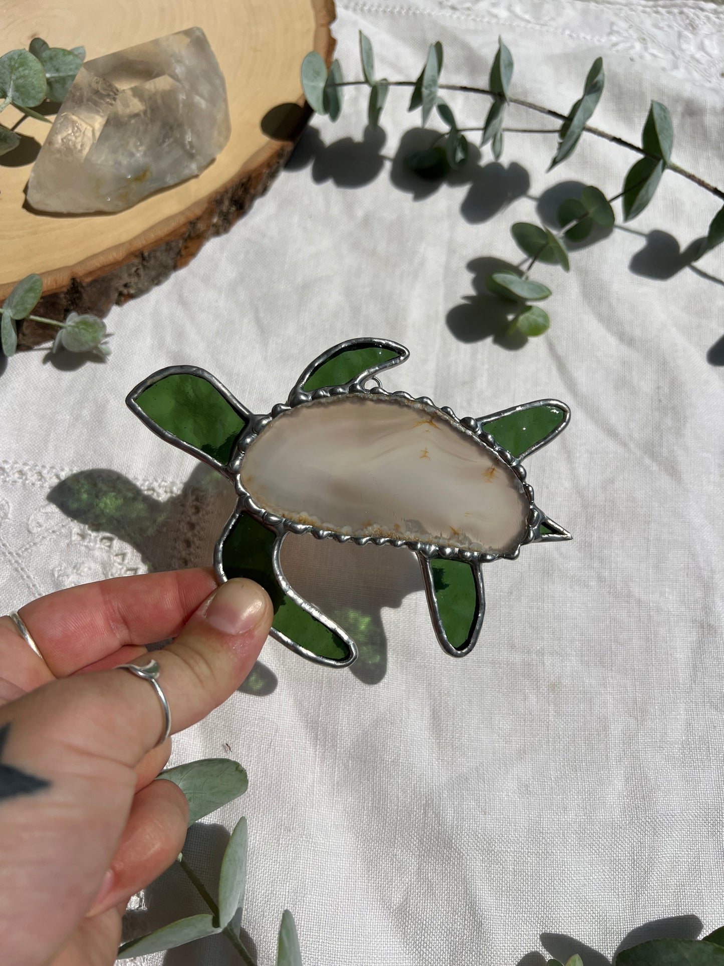 Agate Turtle
