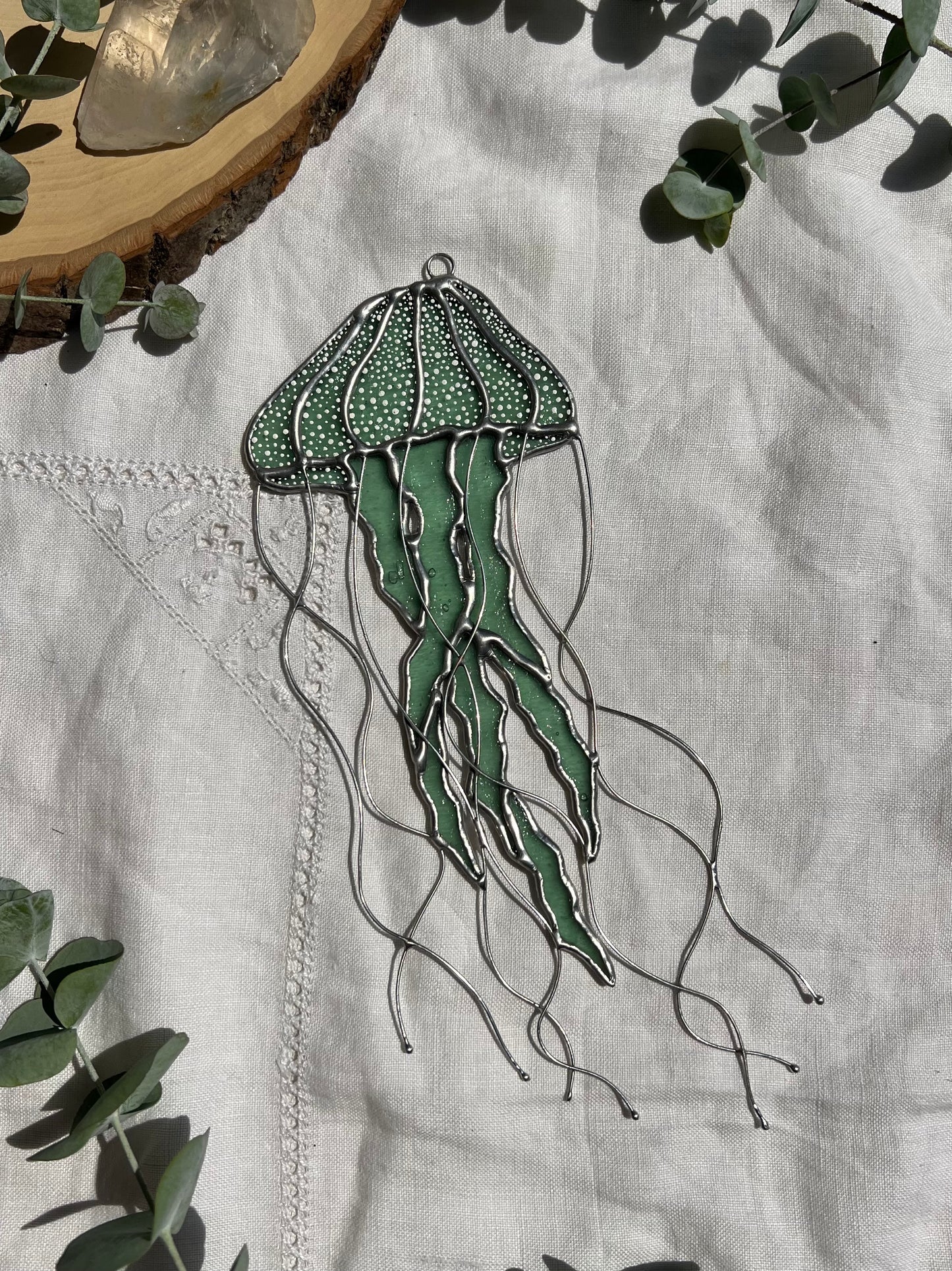 Sea Nettle Jellyfish
