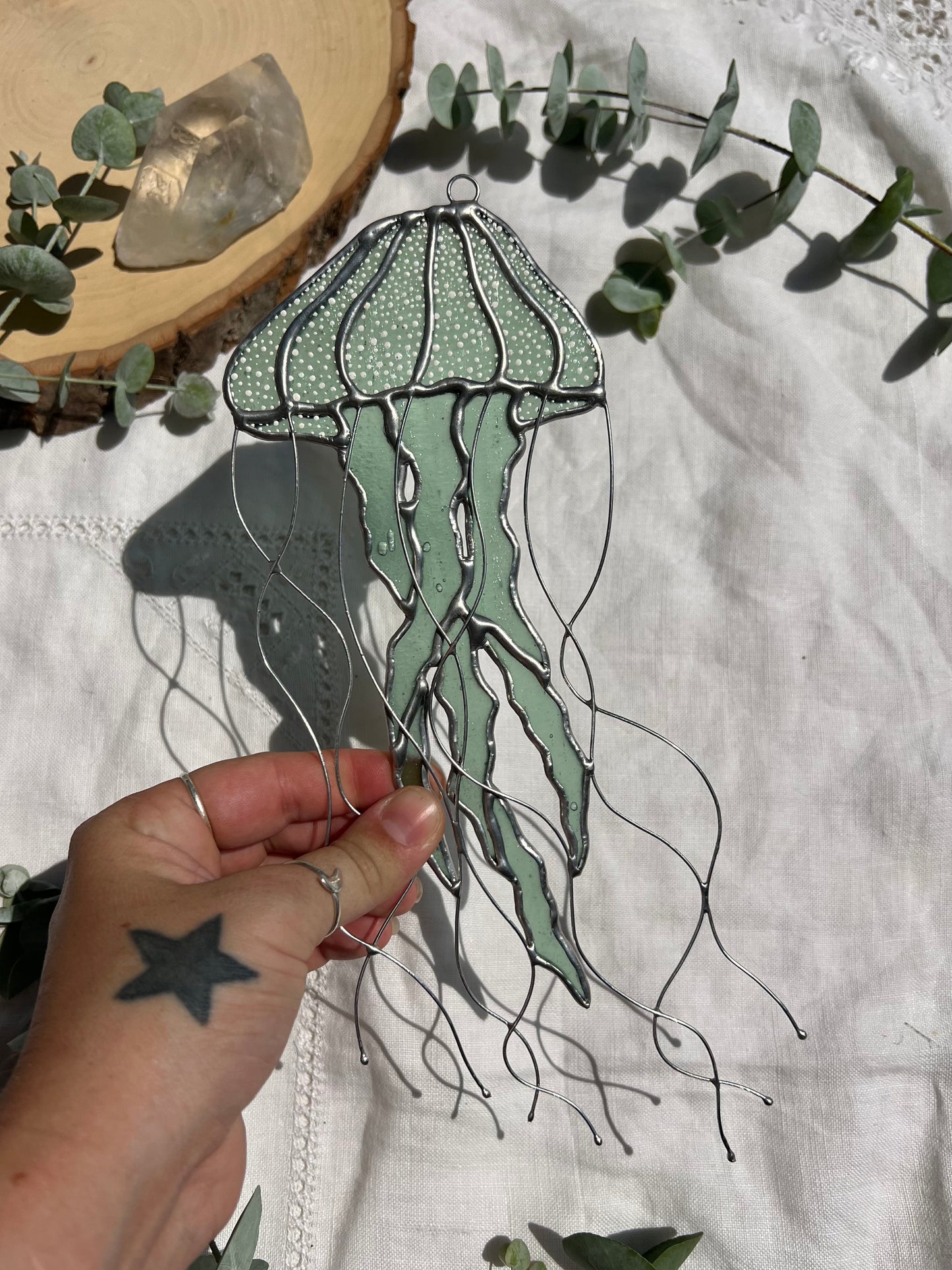 Sea Nettle Jellyfish