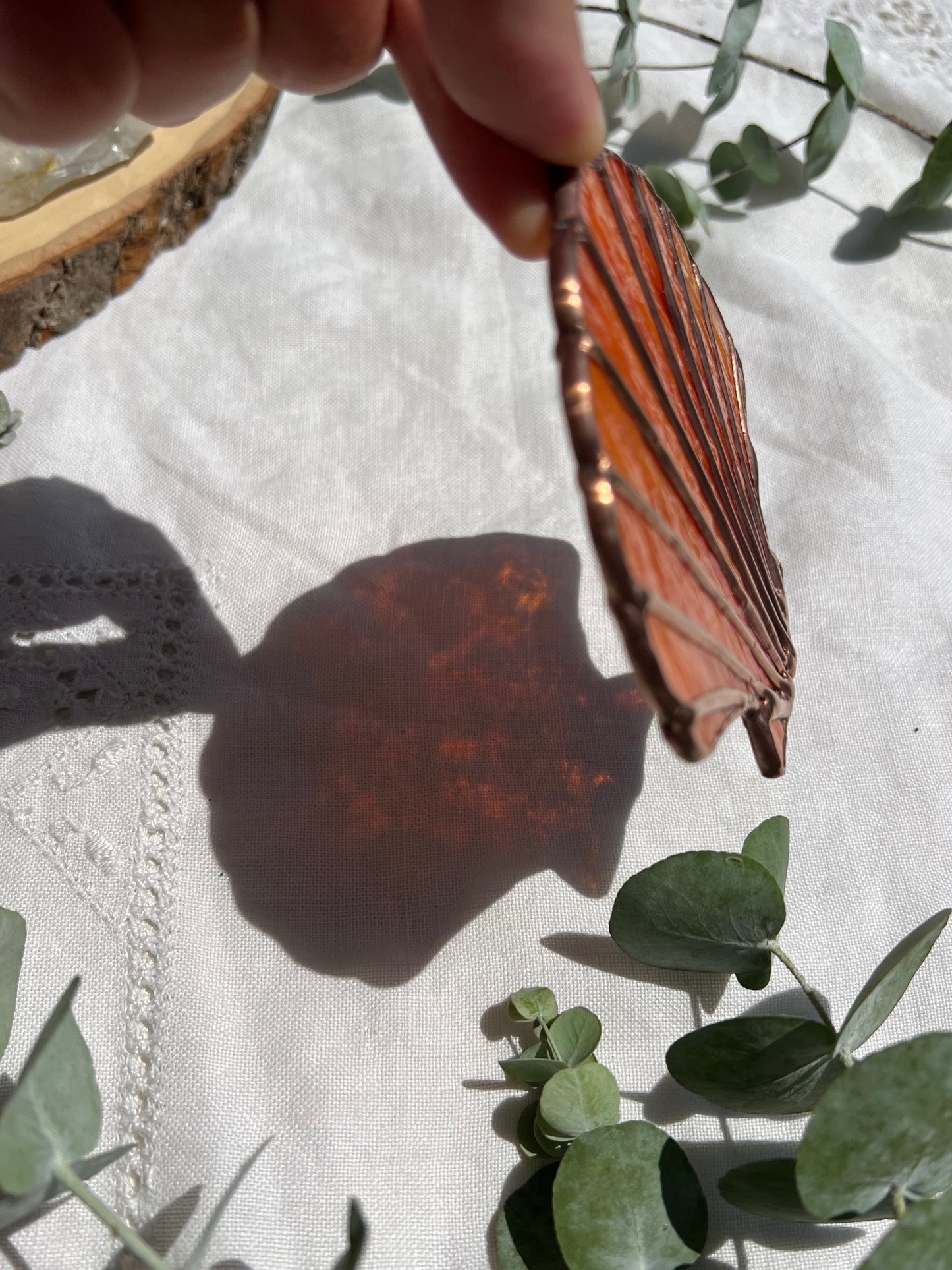 Orange Scallop Shell