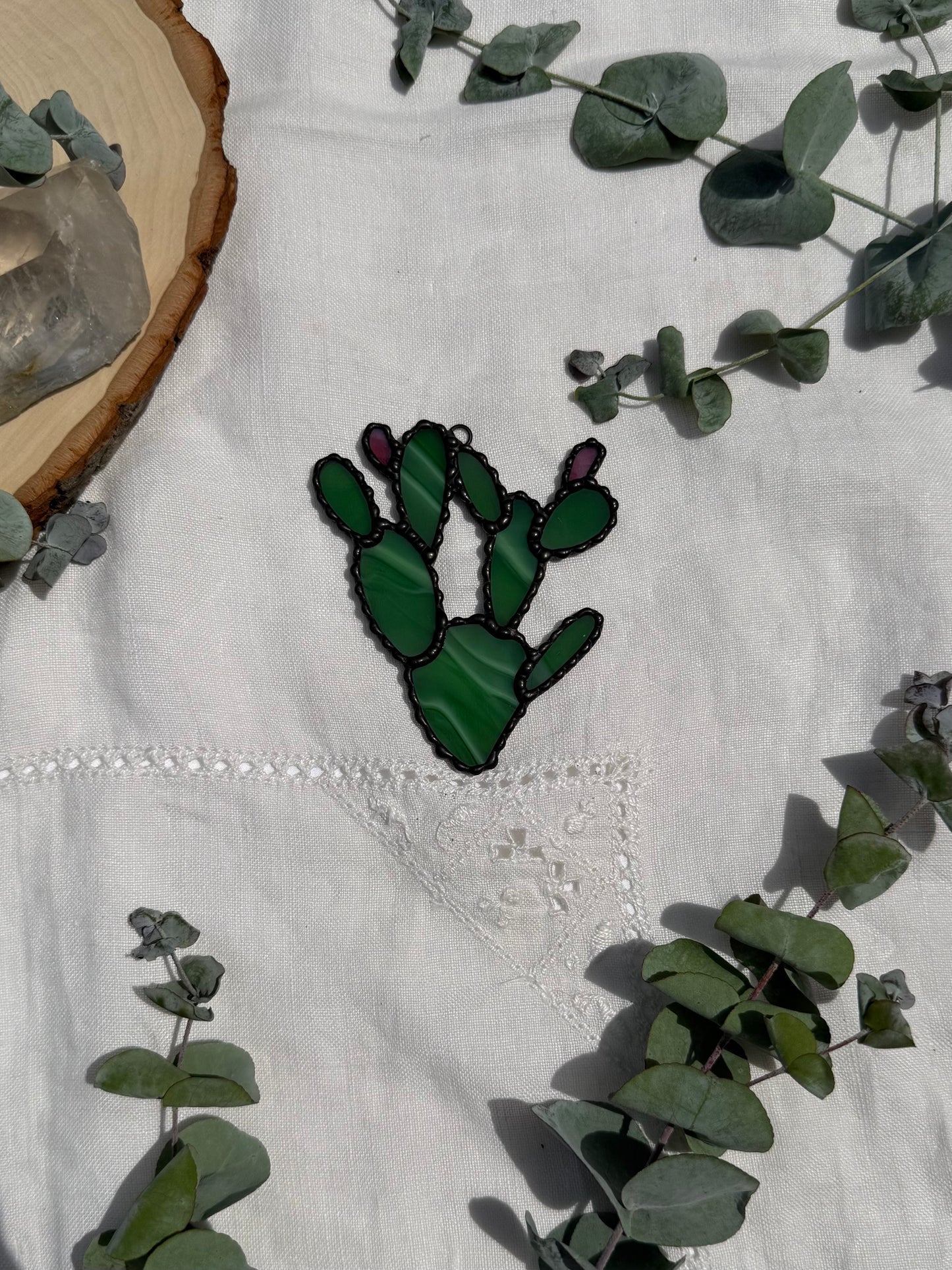 Prickly Pear Cactus