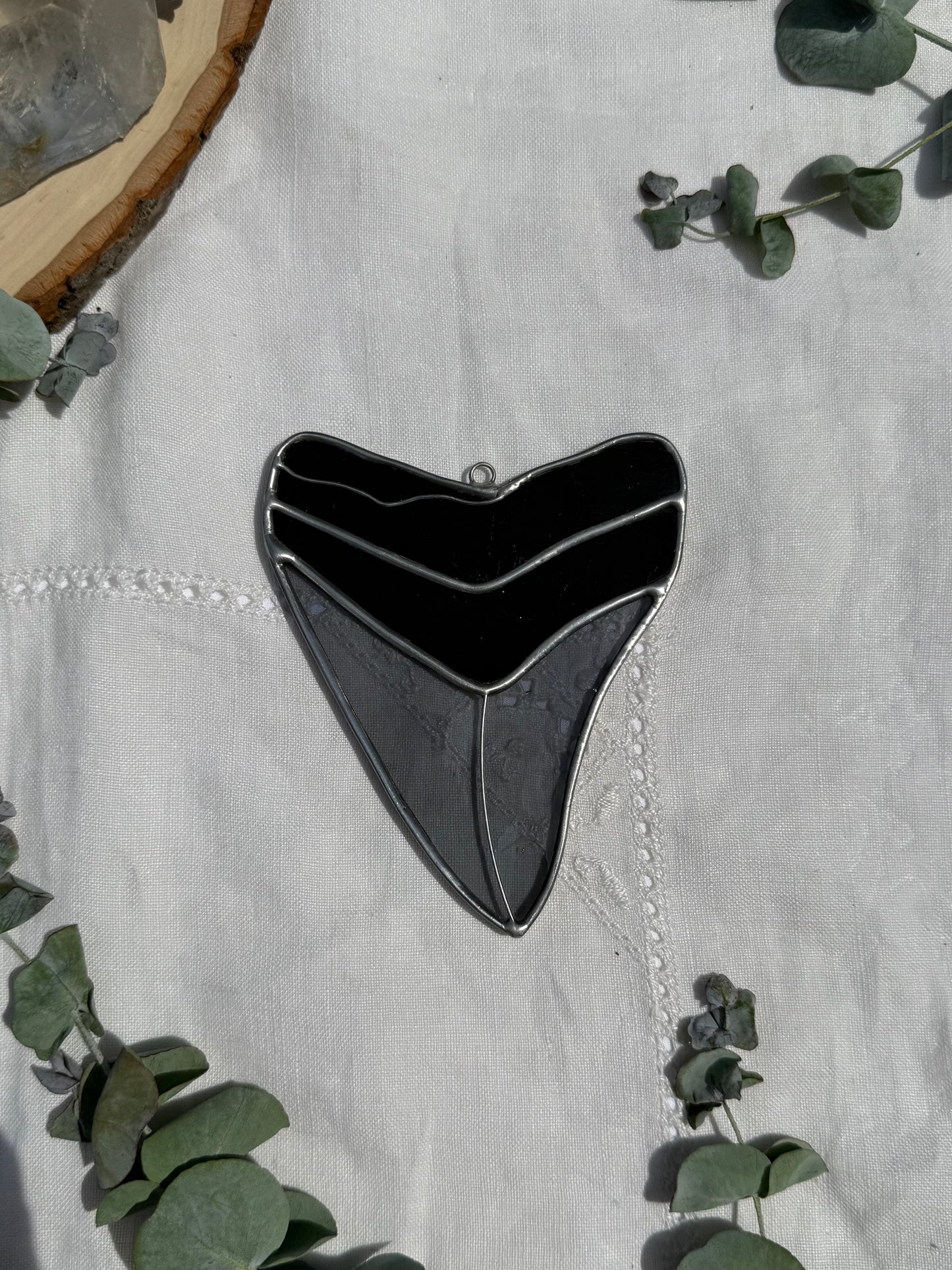 Megalodon Shark Tooth