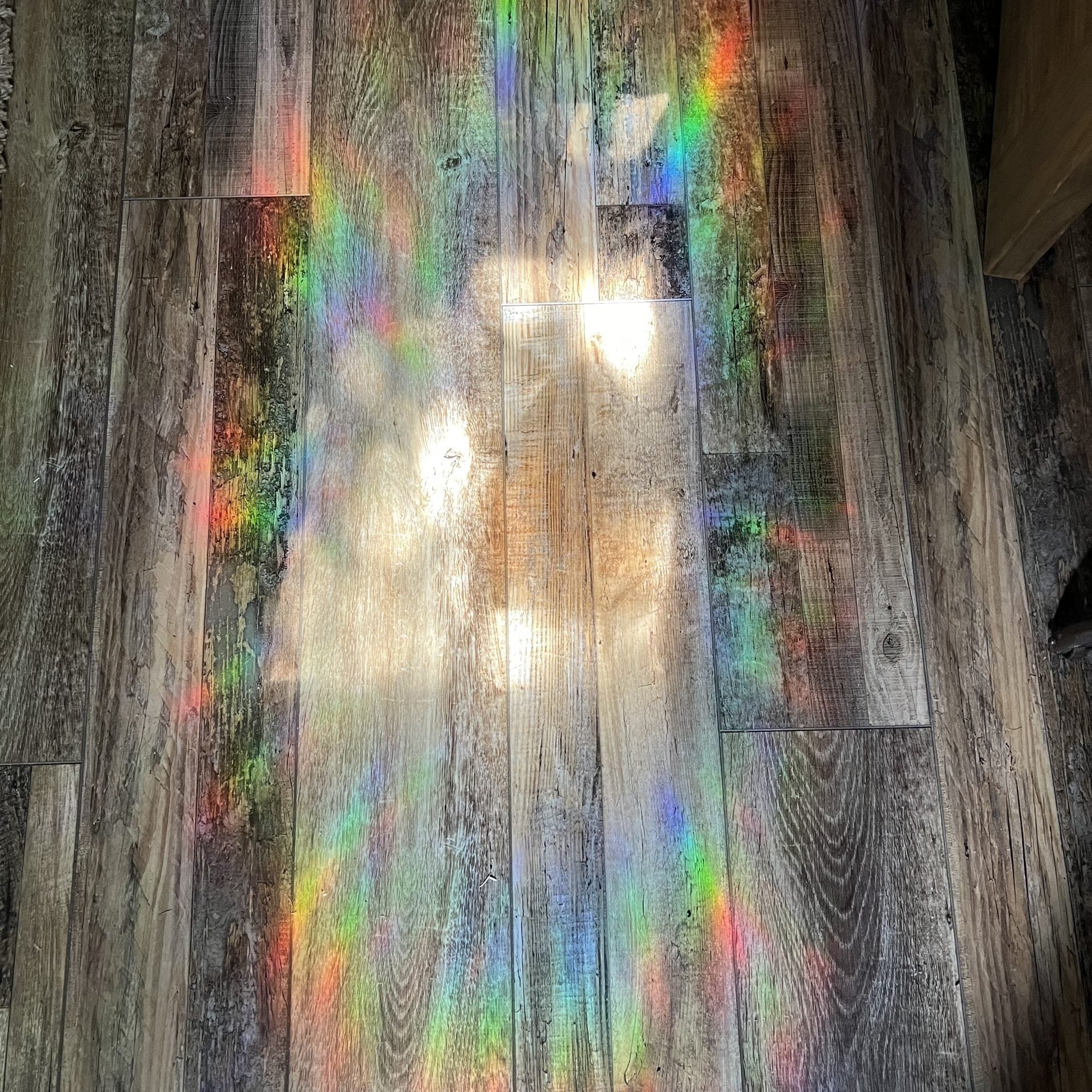 Groovy Sun Window Cling image 3