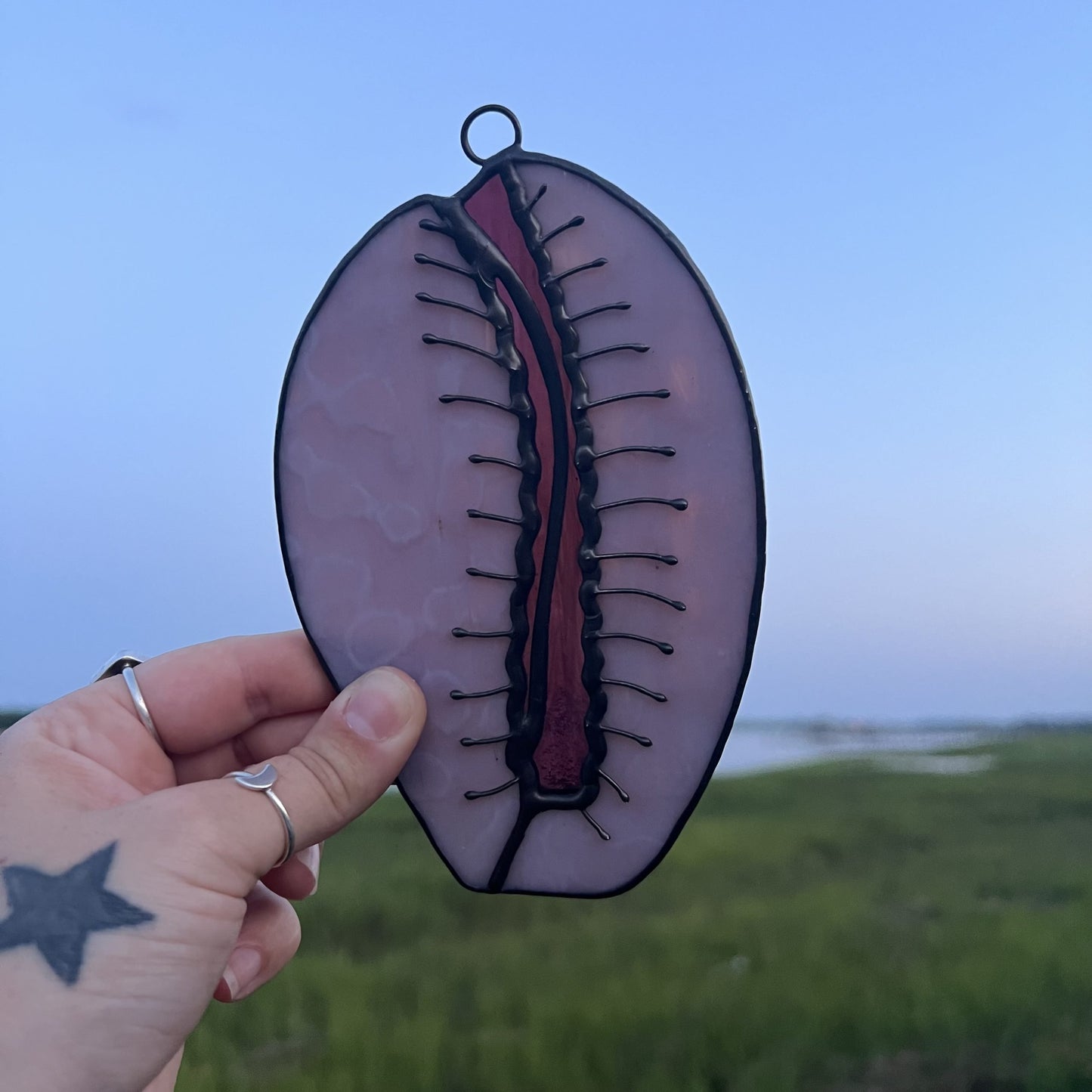 Cowrie Shell image 0