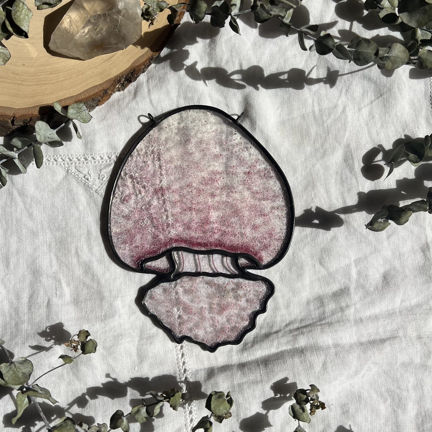 Cannonball Jellyfish image 3