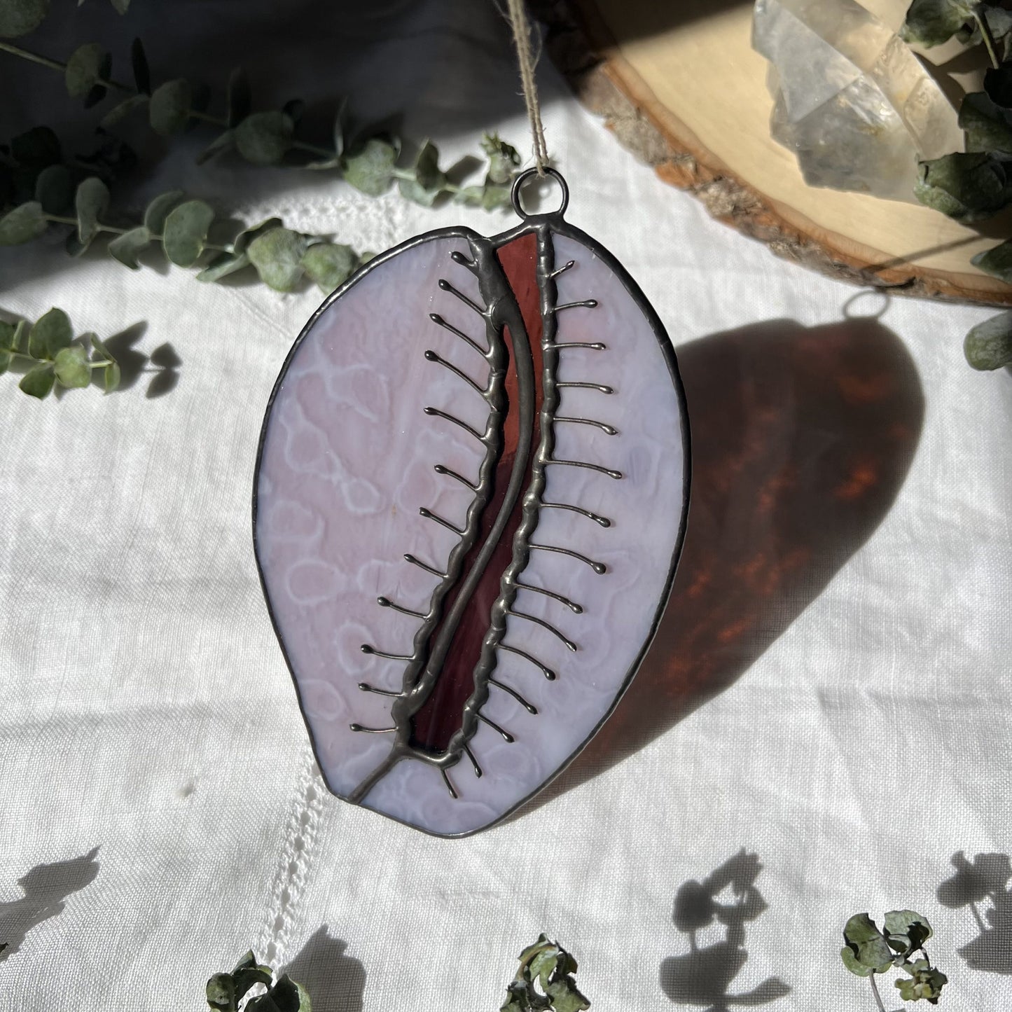 Cowrie Shell image 1