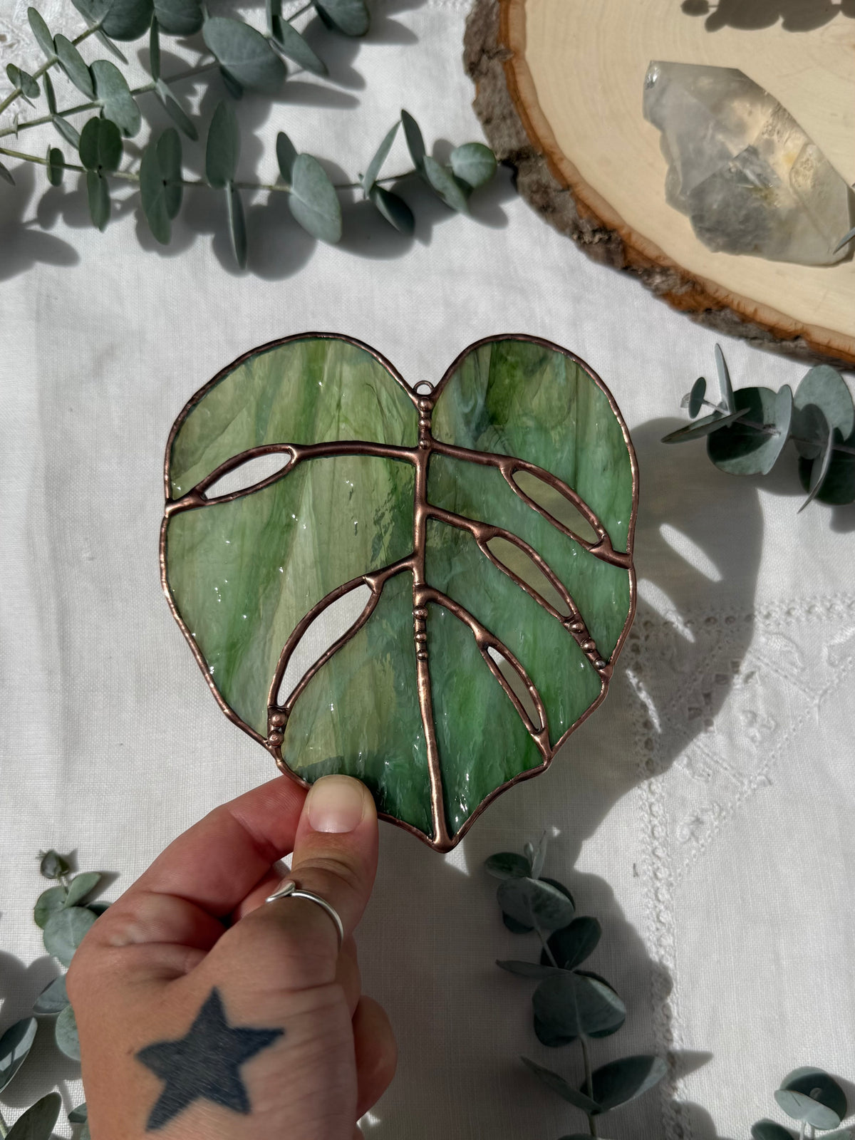 Wispy Green Monstera