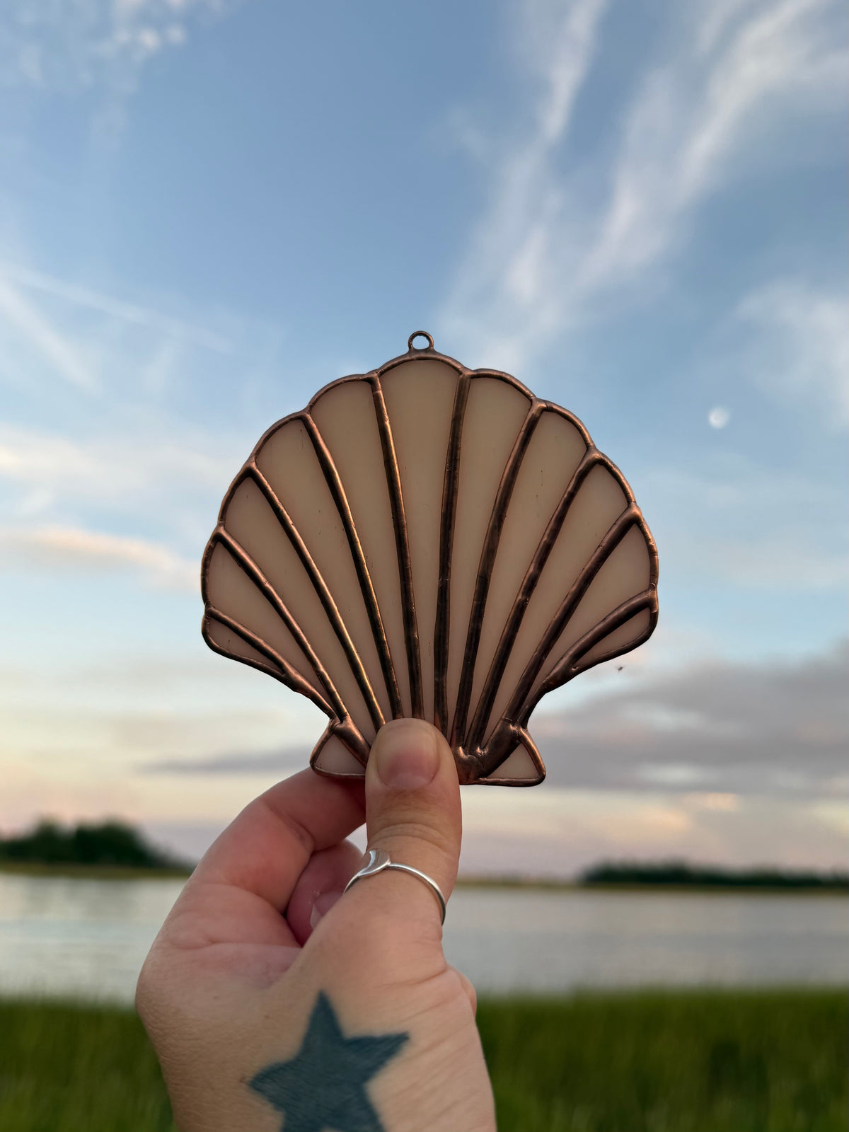 Pale Pink Scallop Shell