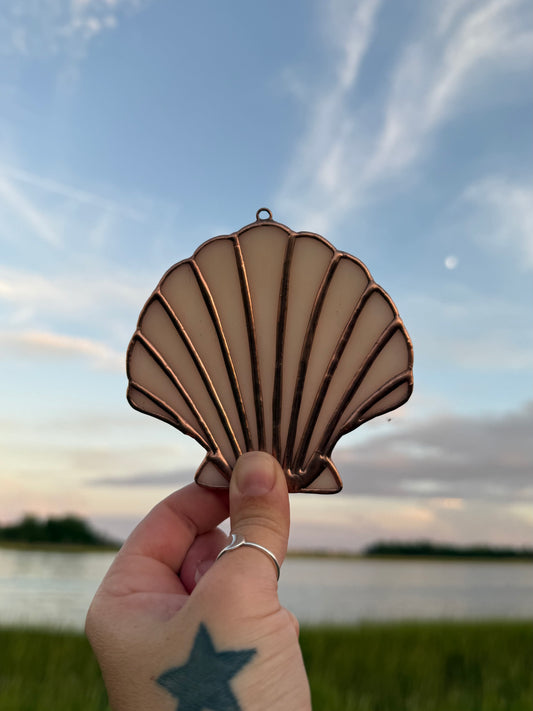 Pale Pink Scallop Shell