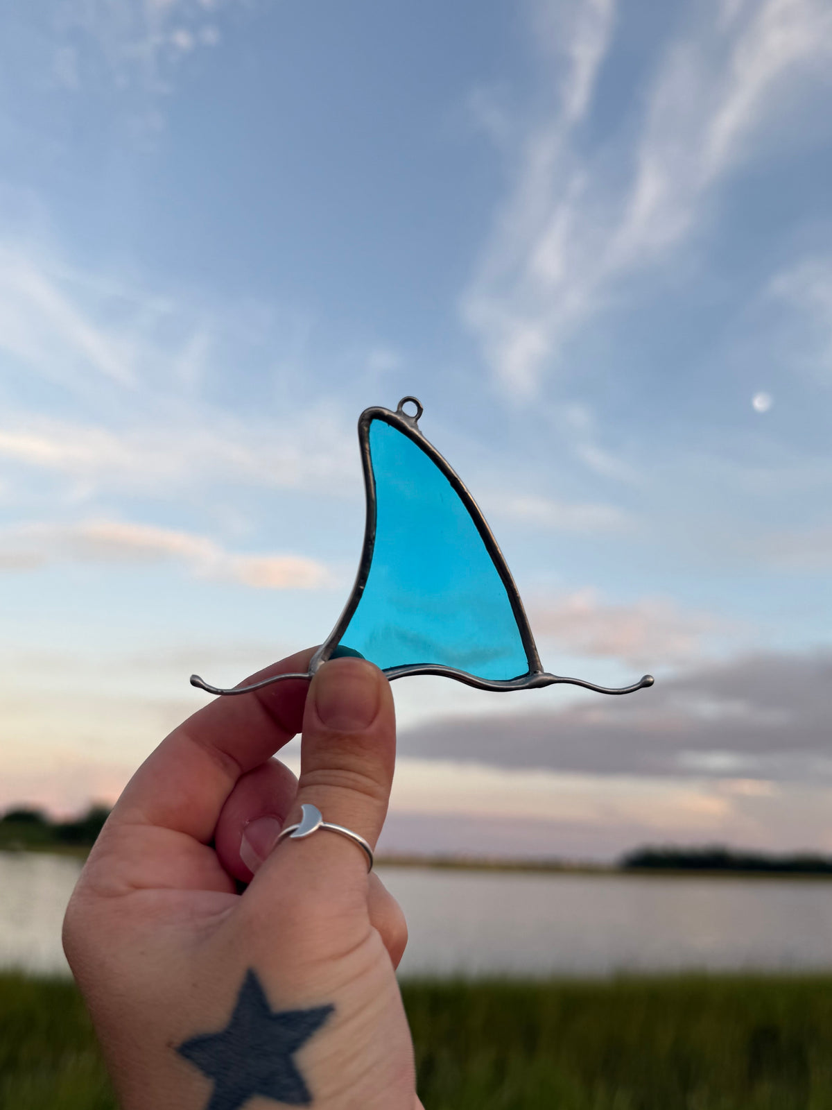 Aqua Shark Fin