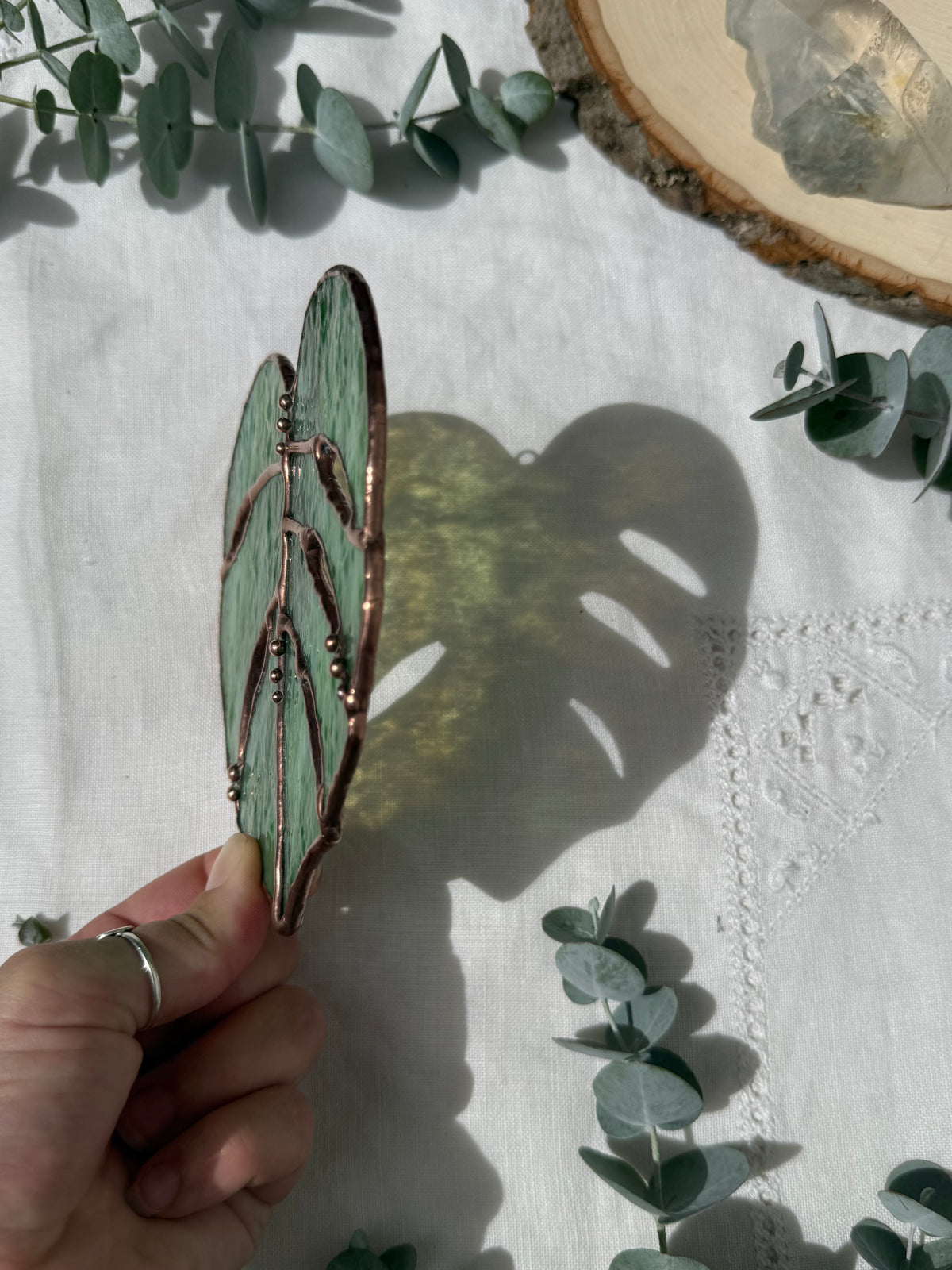 Wispy Green Monstera