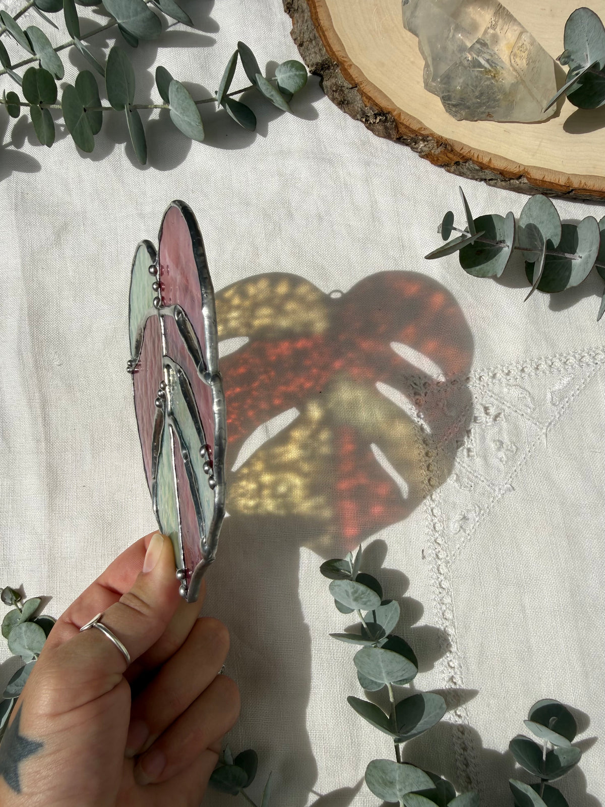 Pink and Green Monstera