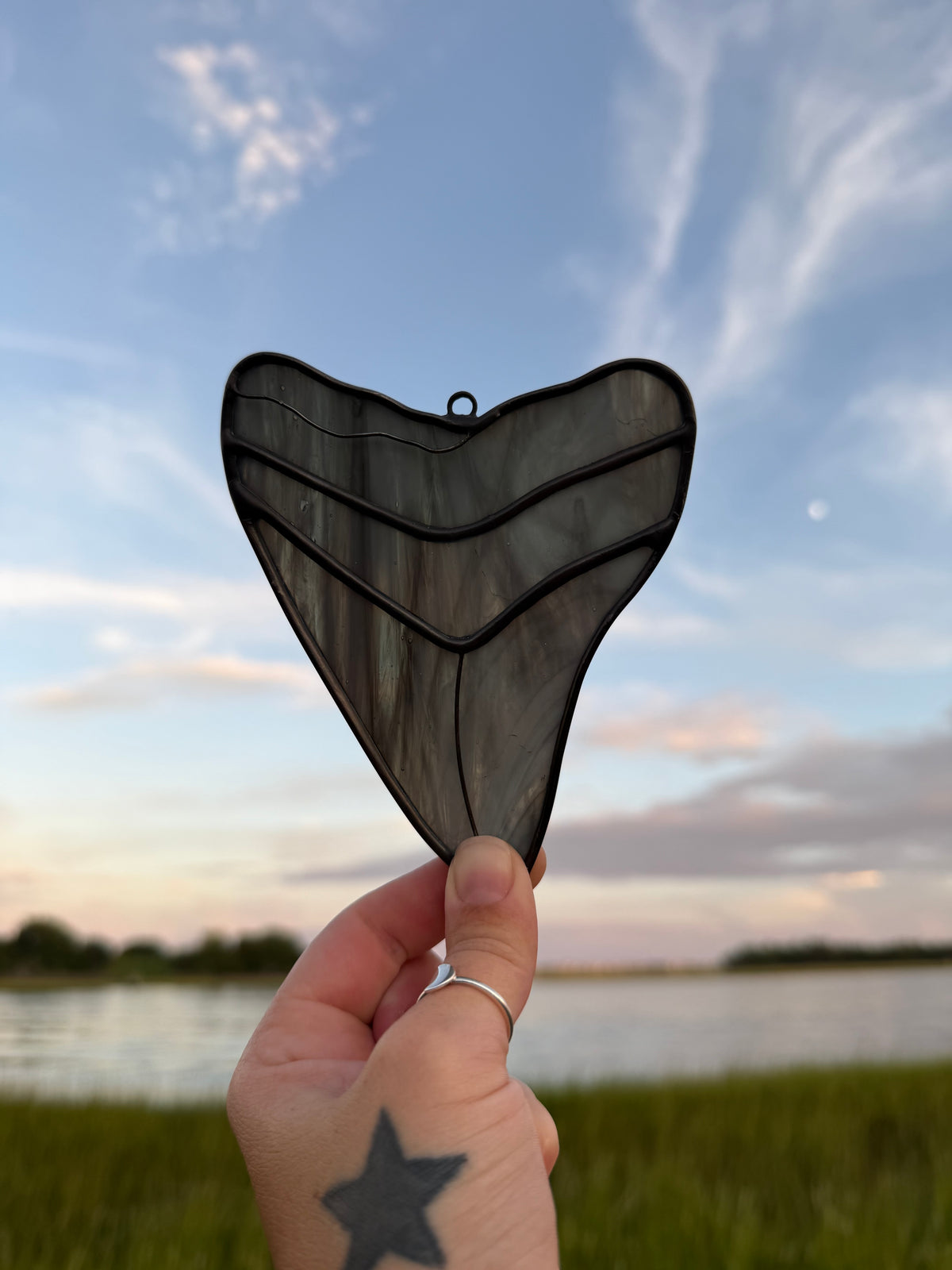 Megalodon Shark Tooth
