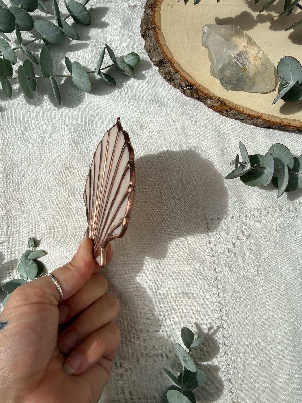 Pale Pink Scallop Shell