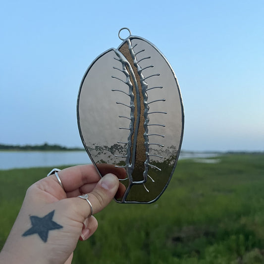 Cowrie Shell image 0