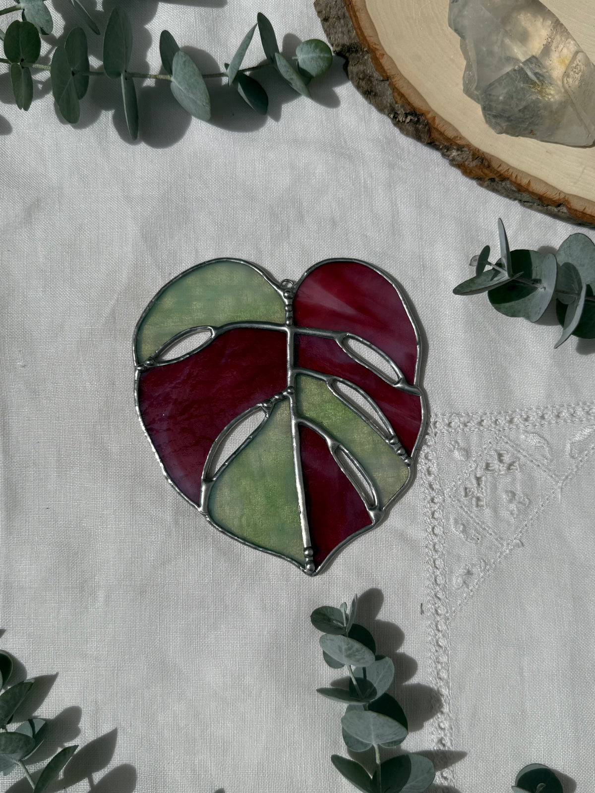 Pink and Green Monstera