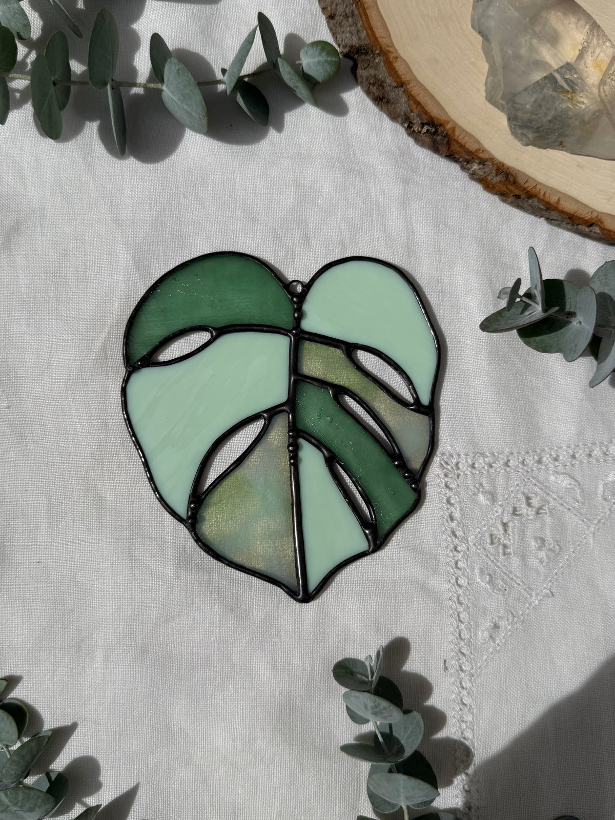 Multi-Green Monstera