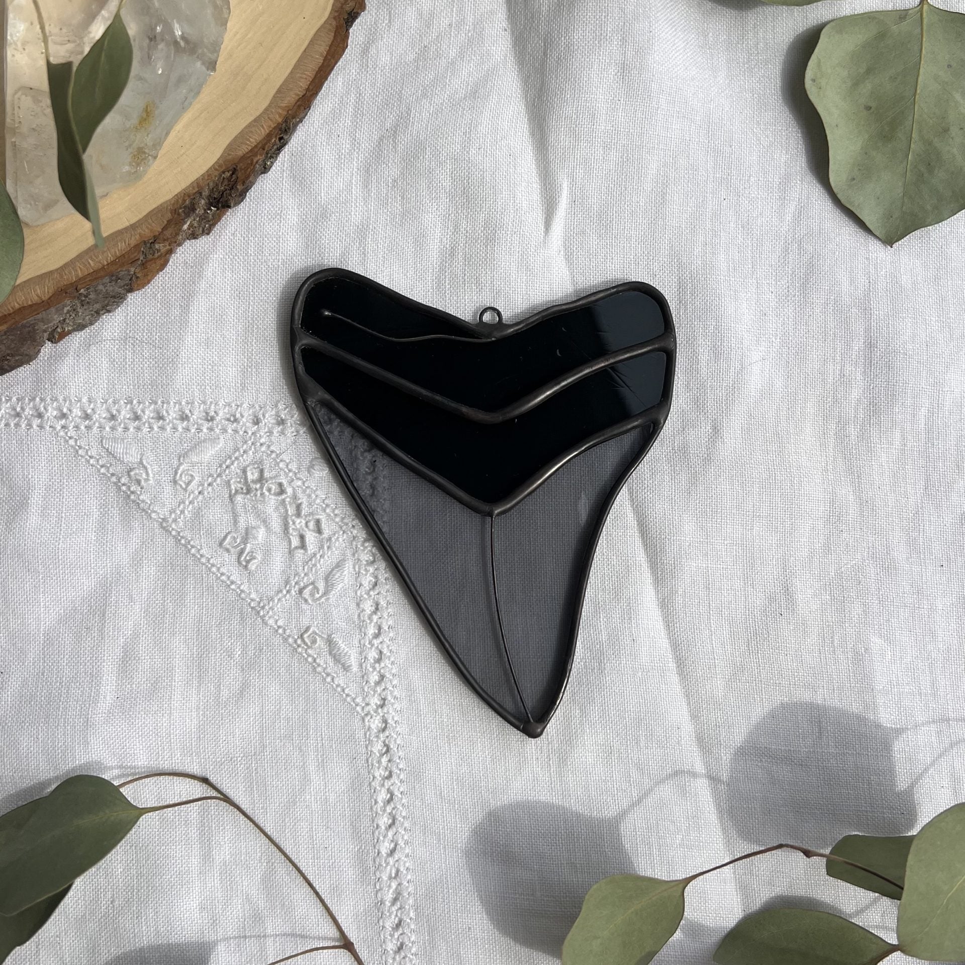 Megalodon Shark Tooth image 3