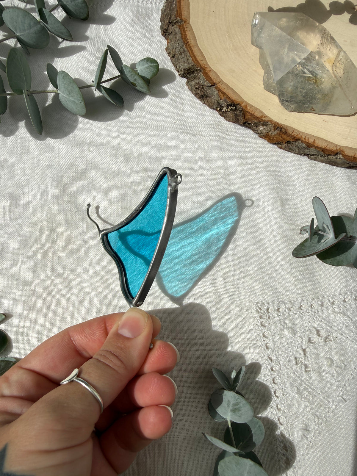 Aqua Shark Fin