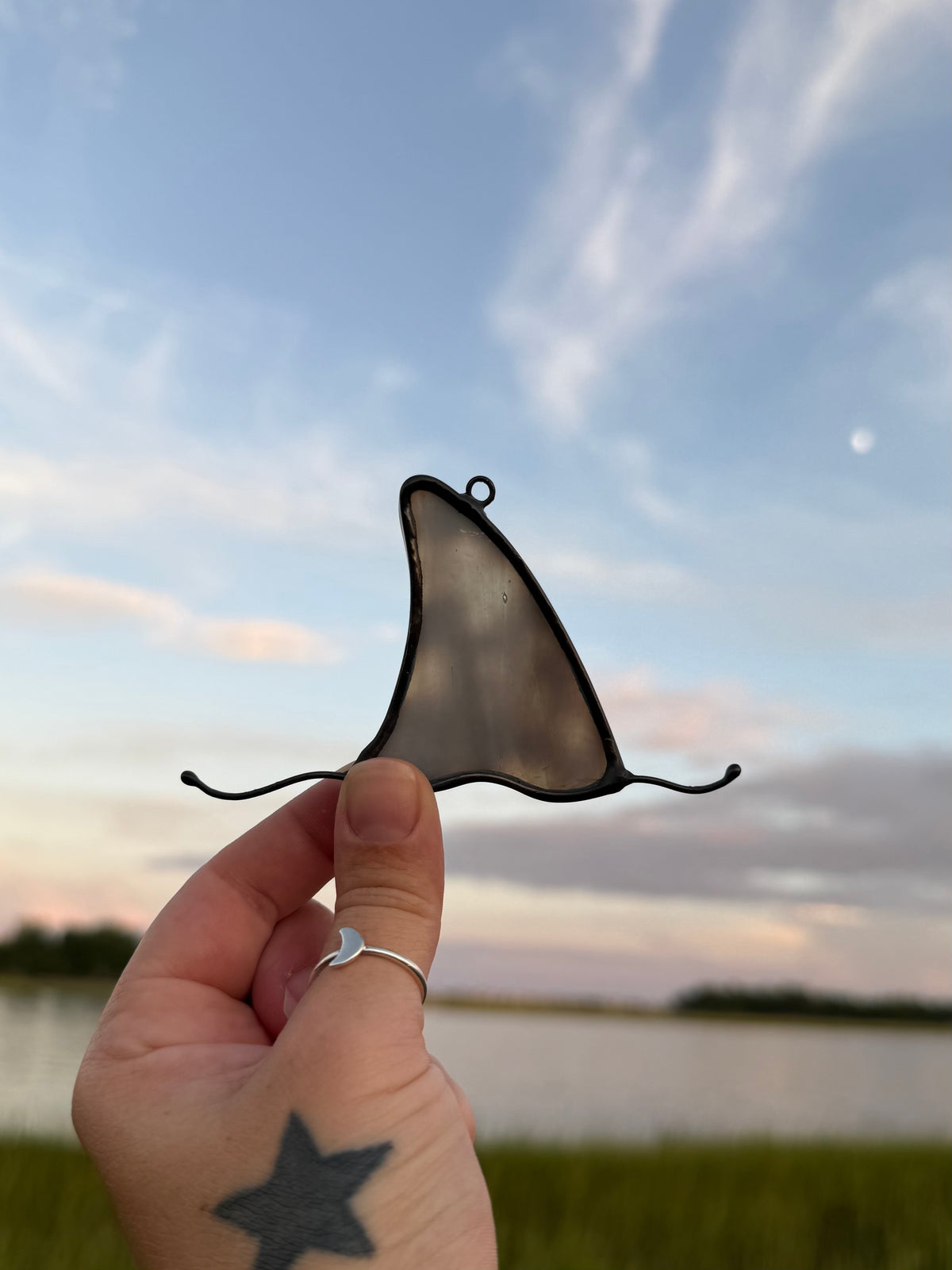 Gray Shark Fin