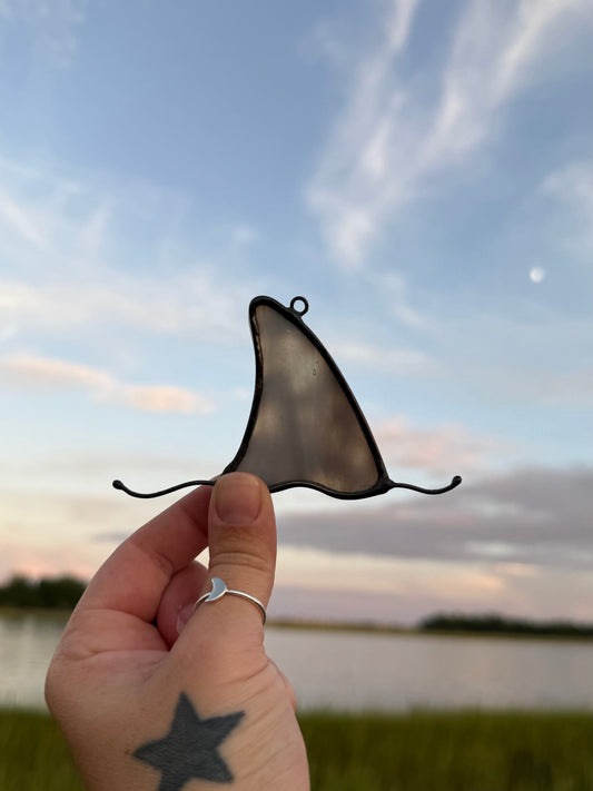 Gray Shark Fin