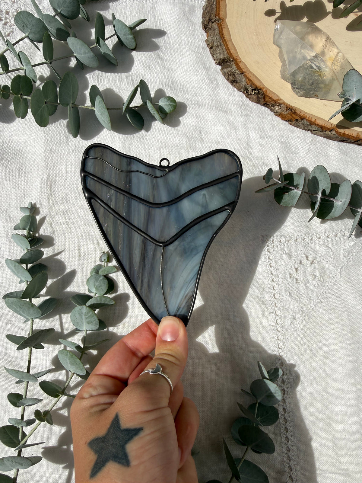 Megalodon Shark Tooth