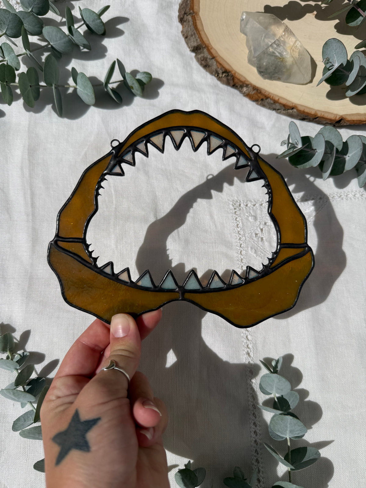 Shark Jaw