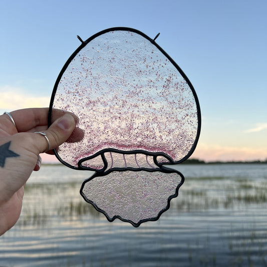 Cannonball Jellyfish image 0